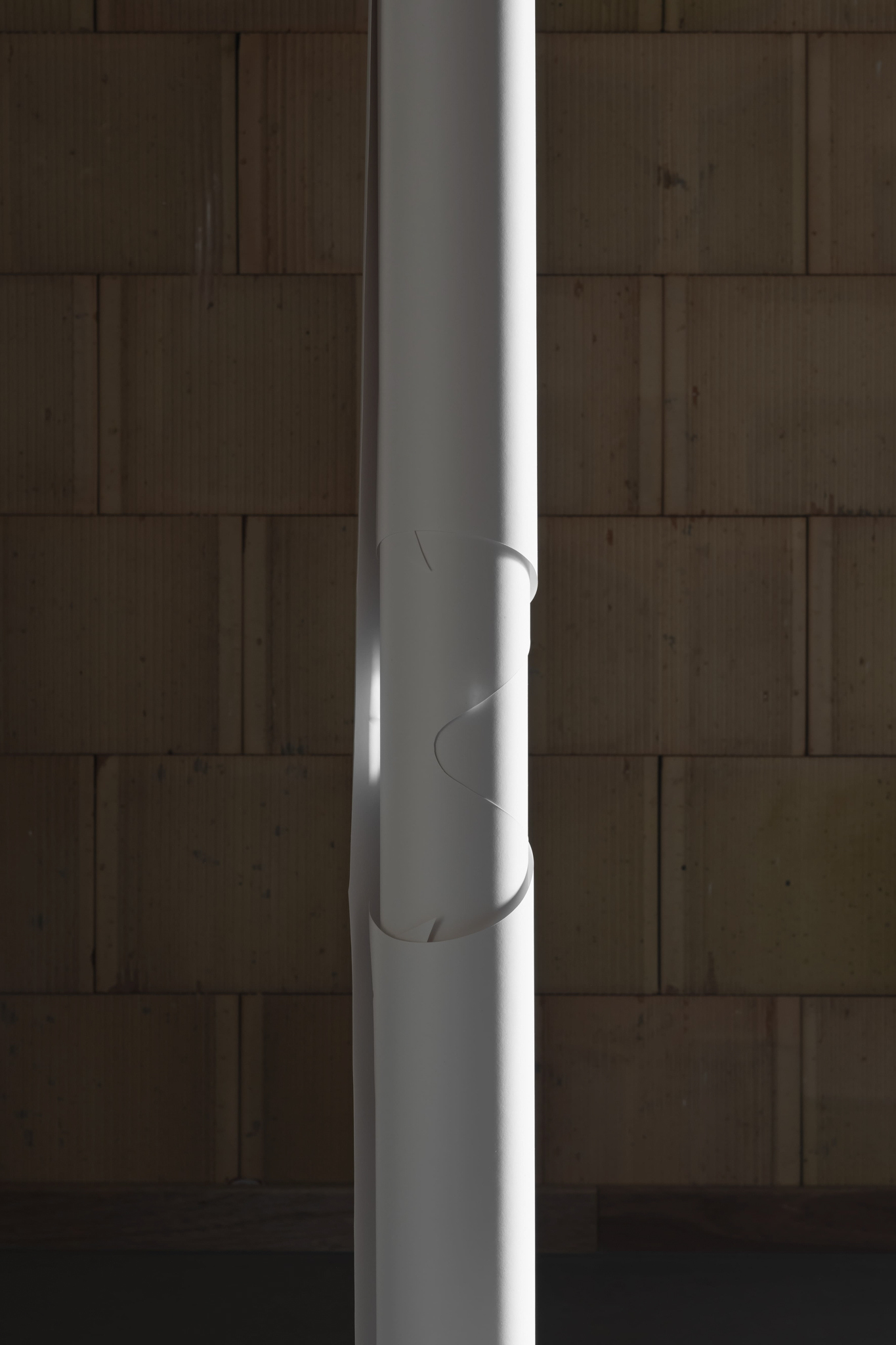 Aaron Amar Bhamra, Lime-white ceiling, 2025. Courtesy: the artist. Photo: Aaron Amar Bhamra.