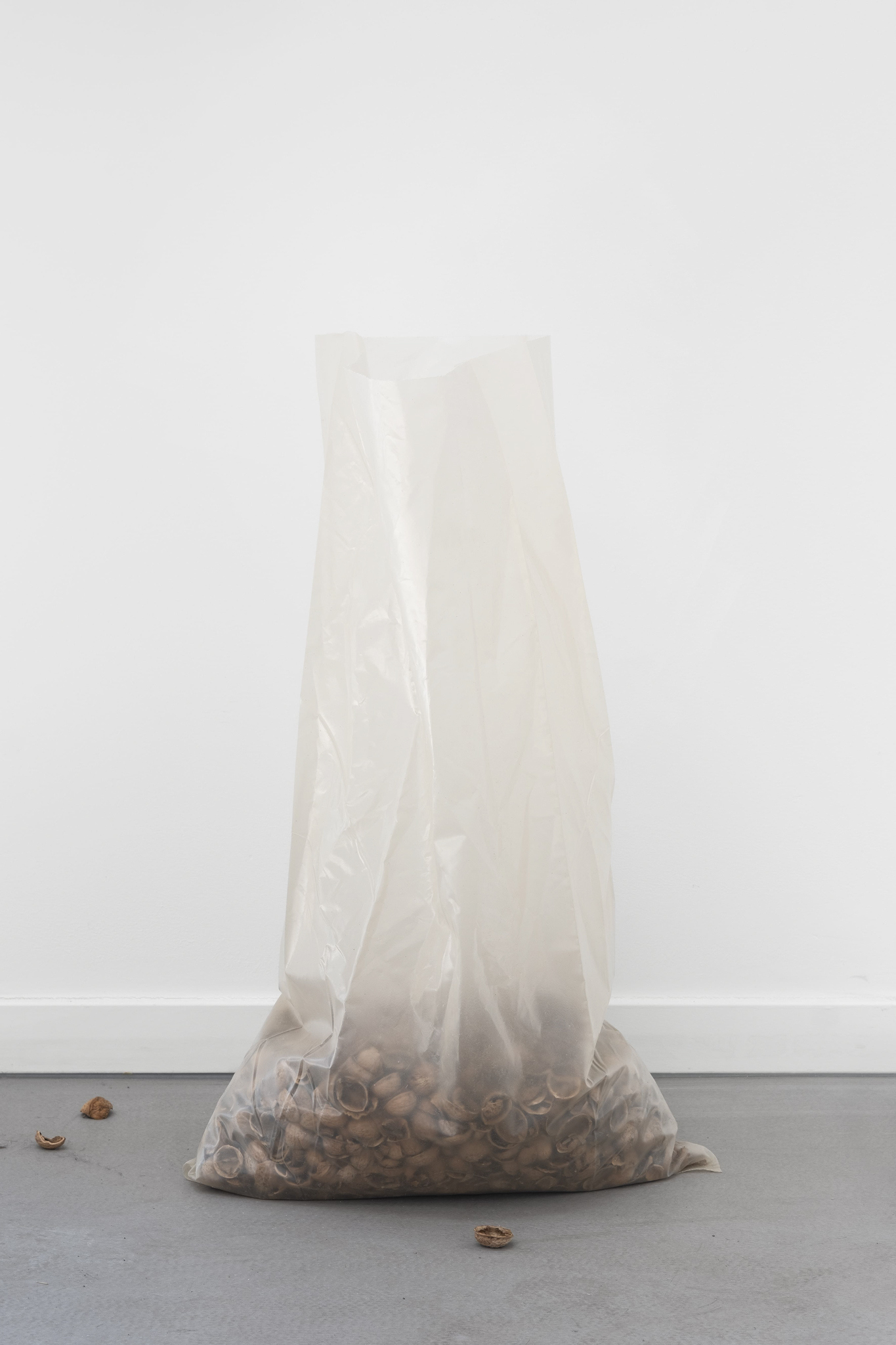 Aaron Amar Bhamra, occasions, 2024. Courtesy: the artist. Photo: vandenbussche - vandenbossche