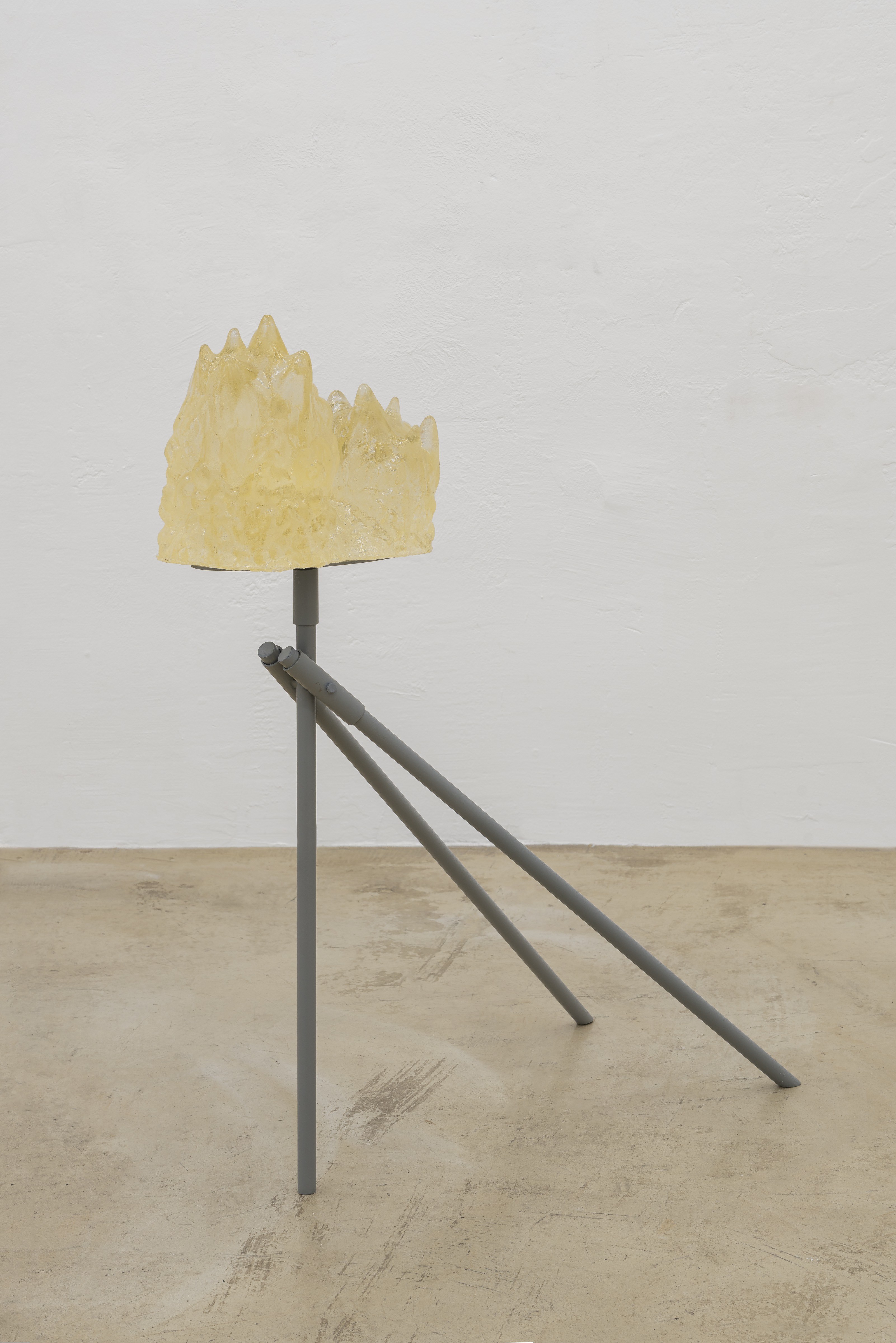 Matteo Nasini, Wild combination, 2025 Resin, iron and enamel, 70x97x37 cm, 32x26x19 cm