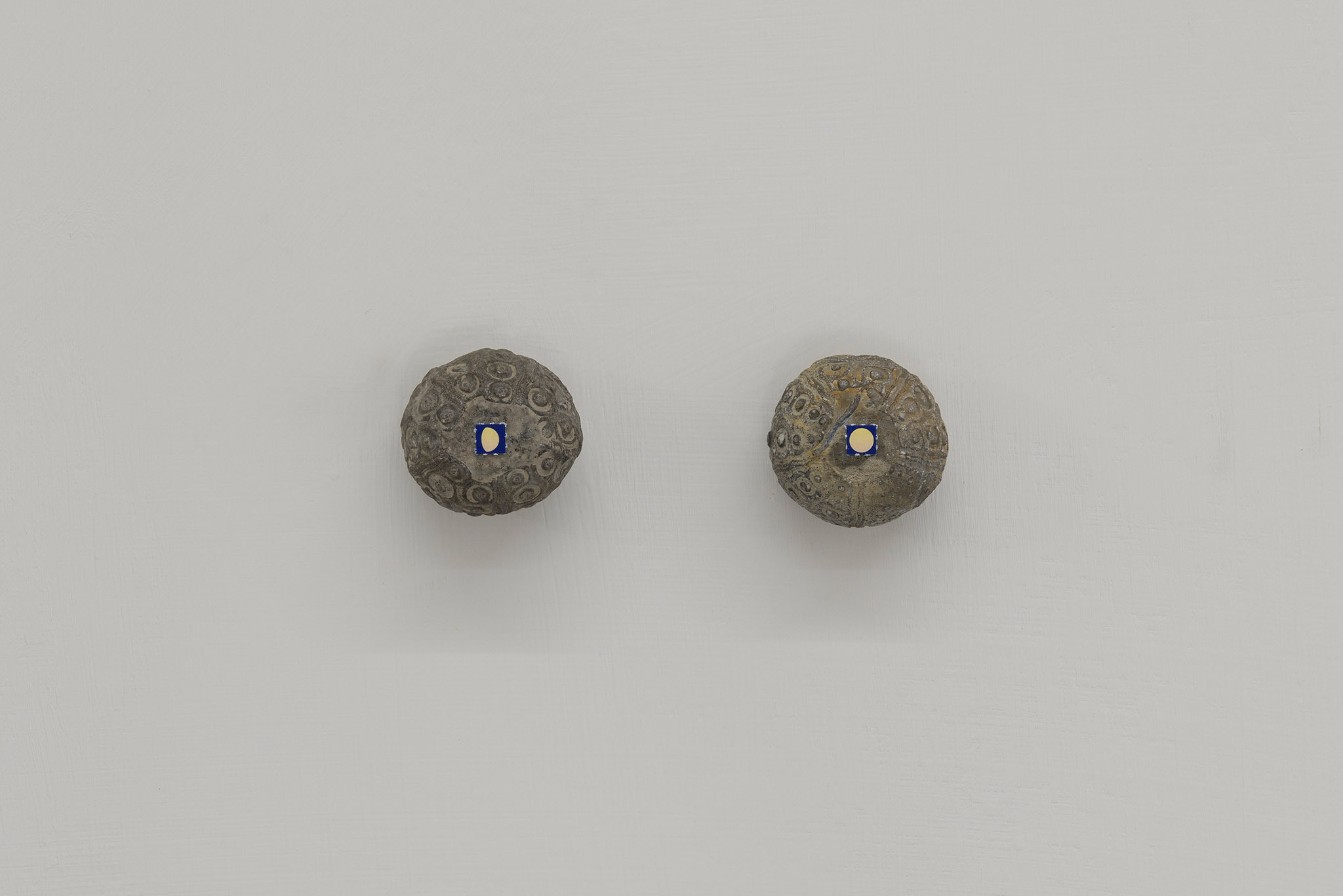 Hunter Longe, Afterlife Navigator (for Amy), 2025. Fossil sea urchins (~120 million years old), LSD blotter tabs. 4.2 x 1.24 x 3.6 cm.