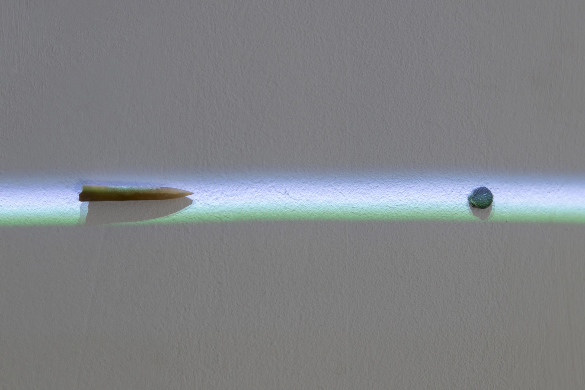 Hunter Longe, The past inserts a finger into a slit on the skin of the present and pulls 2, 2025. Fossil belemnites and bivalve shells (~70 to 110 million years old), video projectors, LSD blotter tab. 3 x 215 x 1.2 cm.