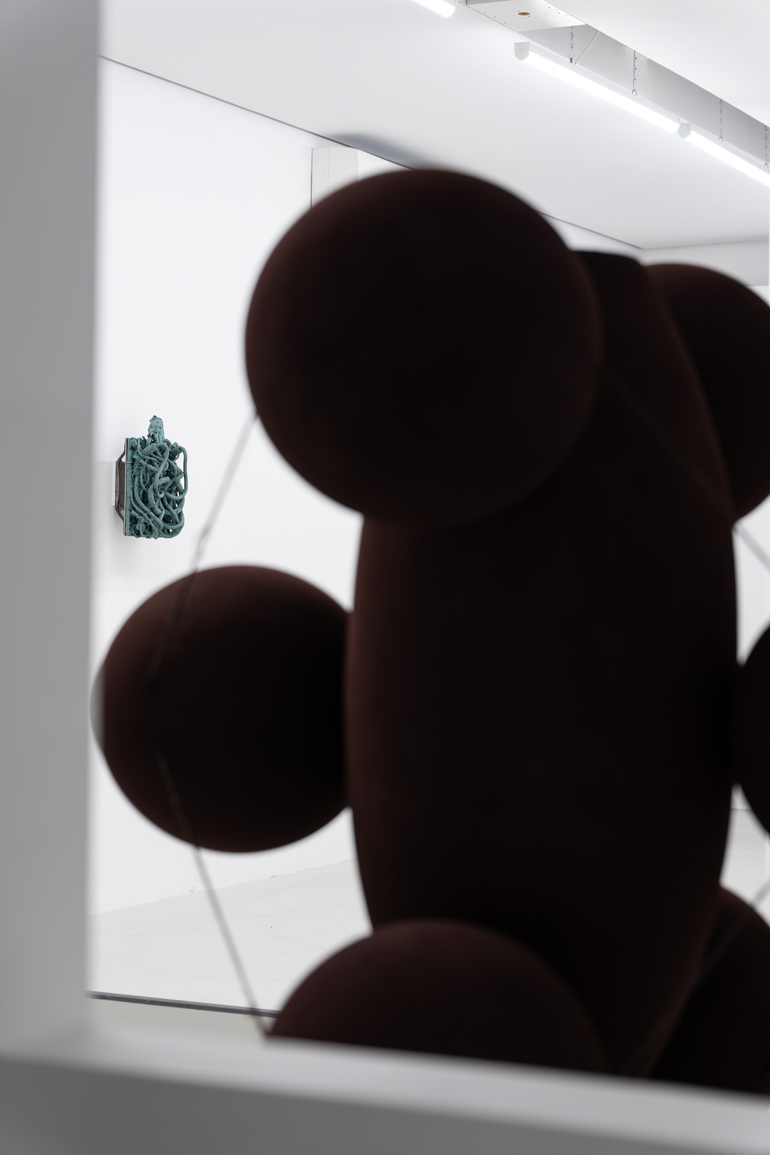 Eveleigh Evans @eveleigh_evans