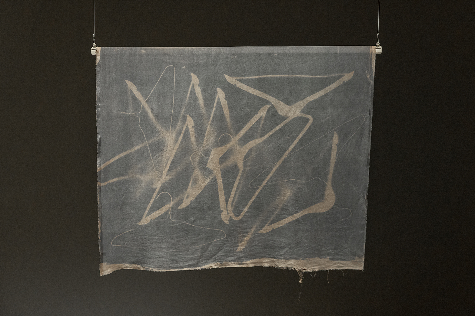 Chang Hyun Lee, Composition, 2025,Photogram on silk, 100x79cm