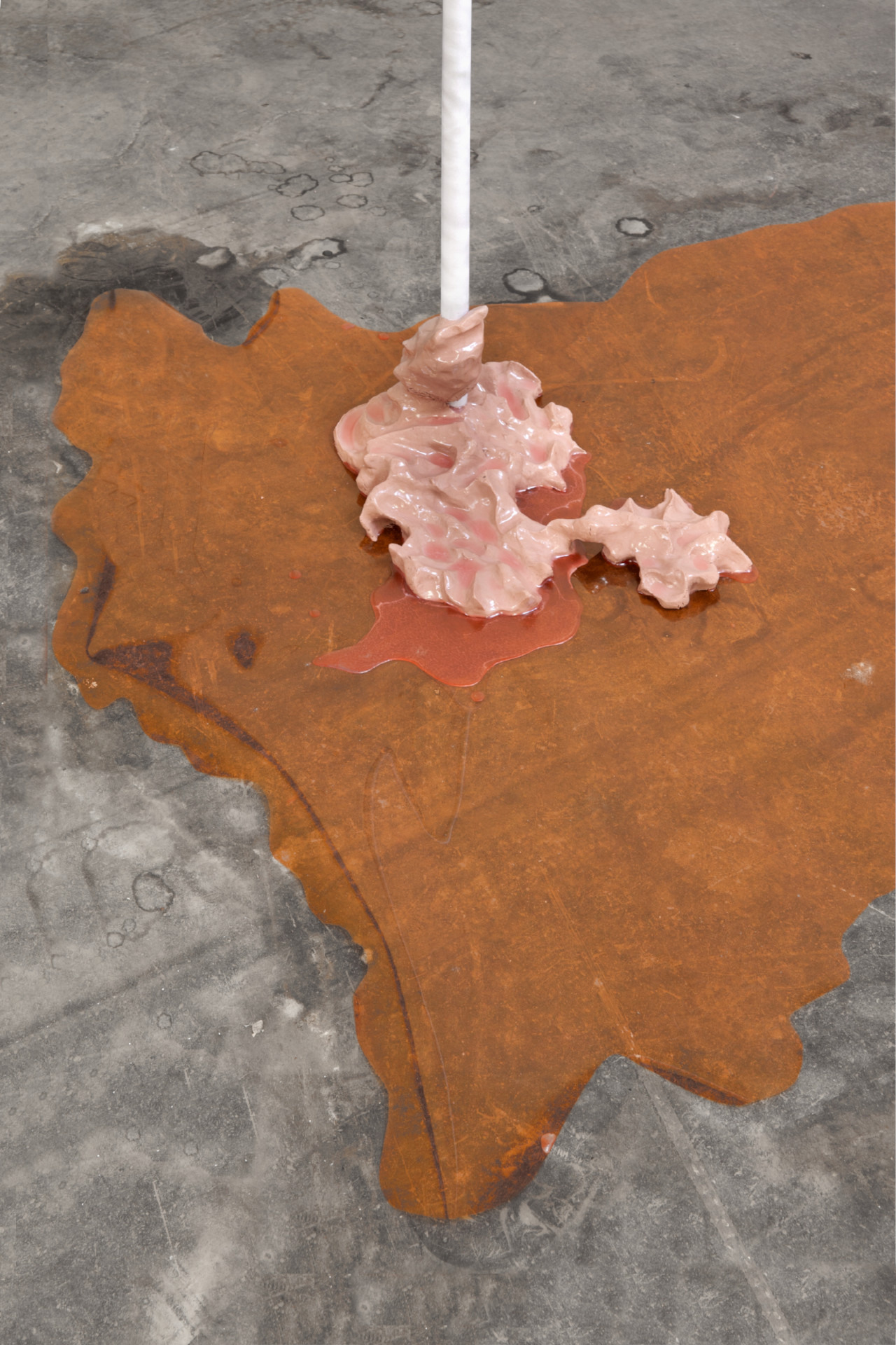 Exhibition Detail: Creams an der Donau, 2025, Novak & Valenca Vaz