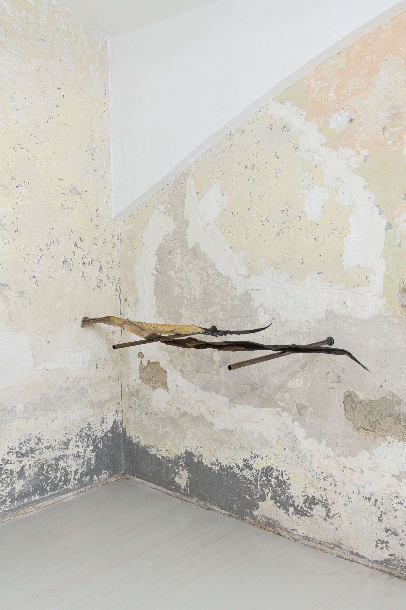 Maxine Weiss, 'Paraconsistent', Agave, 190.7 x 42 x 17 cm, 2024