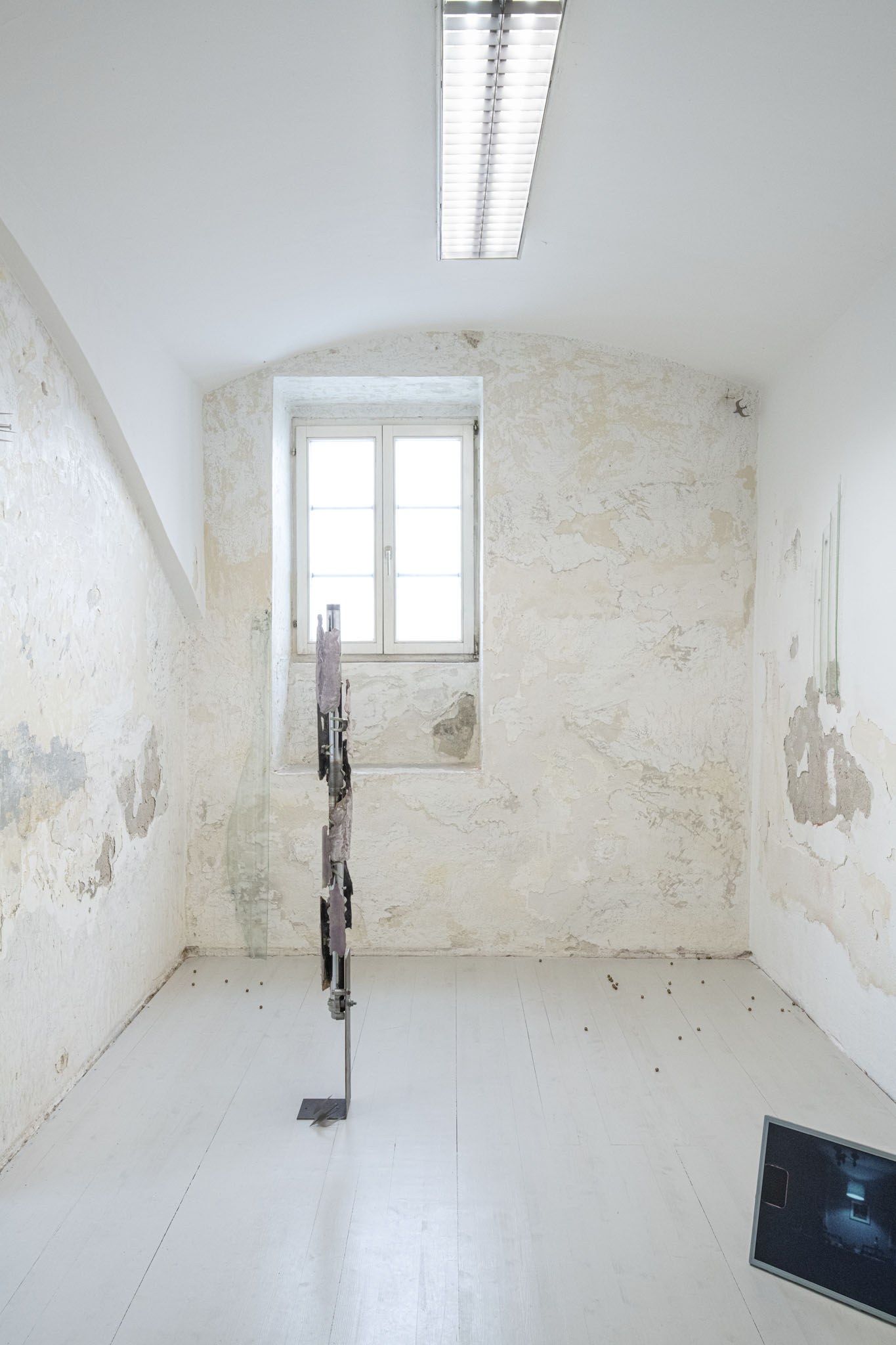 Installation view, René Stiegler, 'Anxiety Rash', Ömer Faruk Kaplan, 'Skins', Yixuan Hu, 'ever migrate, ever escape', Ilinca Fechete, 'NOST - ALGAE, ALGIA'