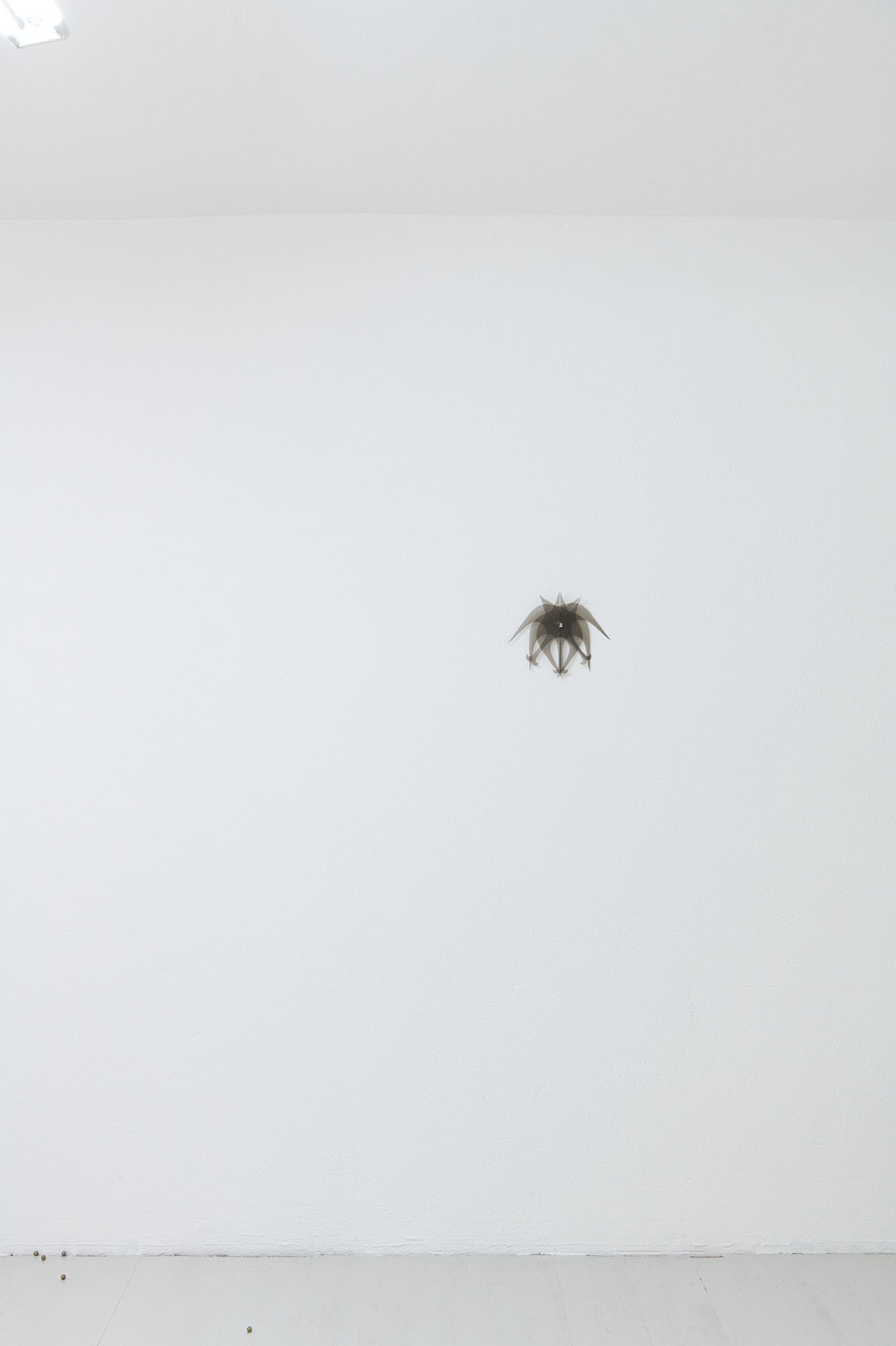 Yixuan Hu, 'ever migrate, ever escape', (“而你心中的鸟群,时时要迁徙,时时要逃避”), Plastic, Compass, 27 x 21 x 3 cm, 2025