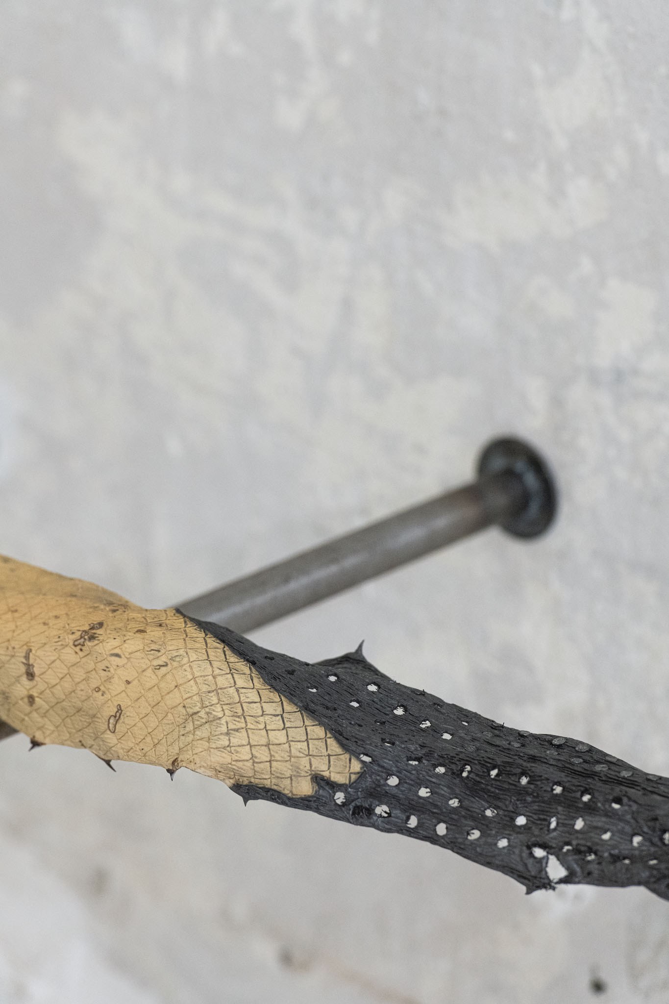 Maxine Weiss, 'Paraconsistent', Agave, 190.7 x 42 x 17 cm, 2024