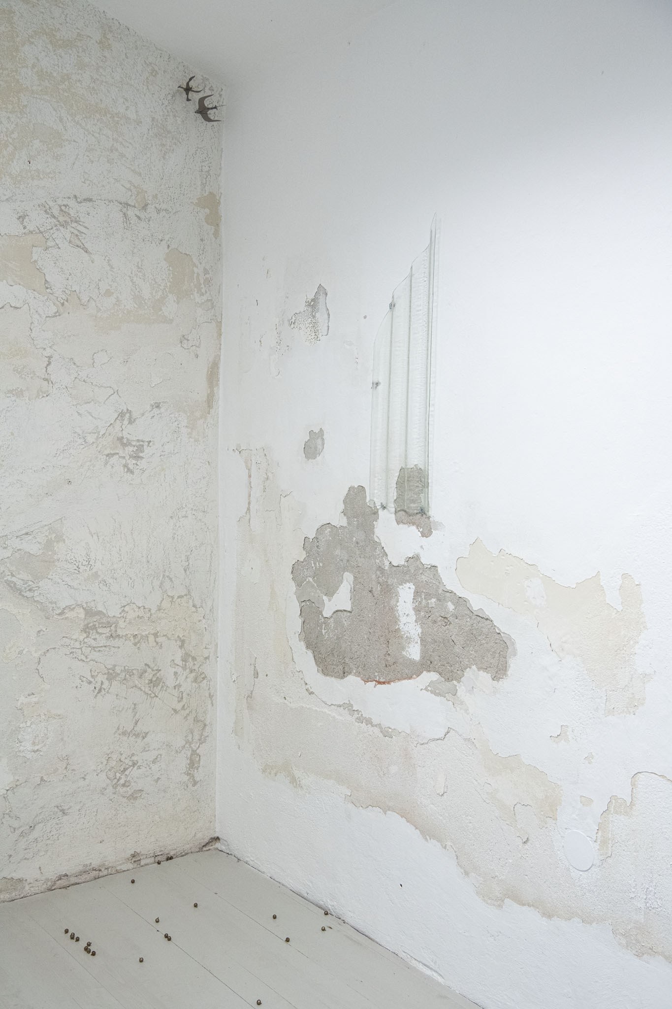 Installation view, Ömer Faruk Kaplan, 'Skins', Yixuan Hu, 'ever migrate, ever escape'