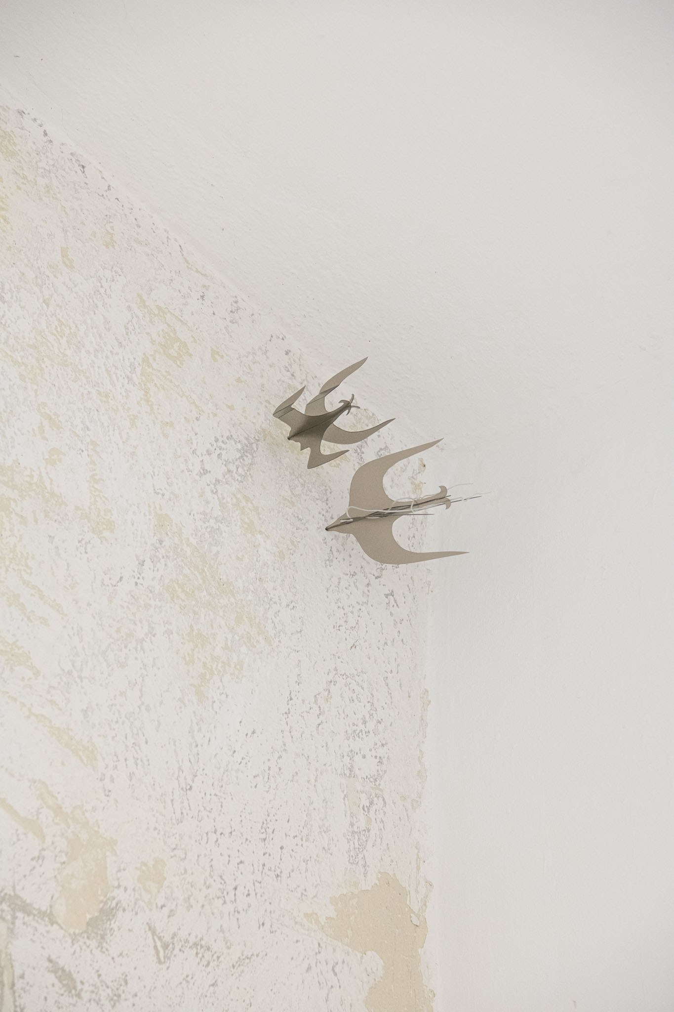 Yixuan Hu, 'ever migrate, ever escape', (“而你心中的鸟群,时时要迁徙,时时要逃避”), Plastic, Compass, 2025