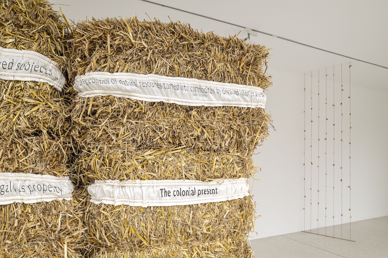 Eve Tagny, In the Underbelly of a Kernel, 2025, Installation view, Westfälischer Kunstverein, Münster, Photo: Thorsten Arendt