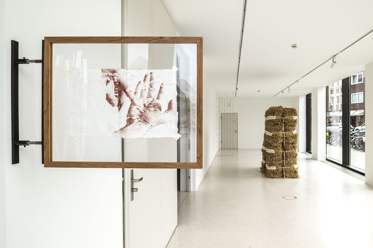 Eve Tagny, In the Underbelly of a Kernel, 2025, Installation view, Westfälischer Kunstverein, Münster, Photo: Thorsten Arendt
