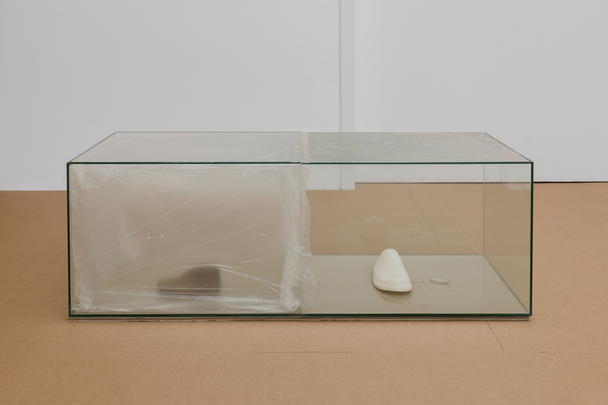 Variations of a Shoe (Clock), 2025. Reused glass vitrines, dust, fixative, plastic foil, tape, children-sized handmade wooden shoe last, air-dry porcelain, eyeglass lens from the artist's mother. 120 x 40 x 45 cm