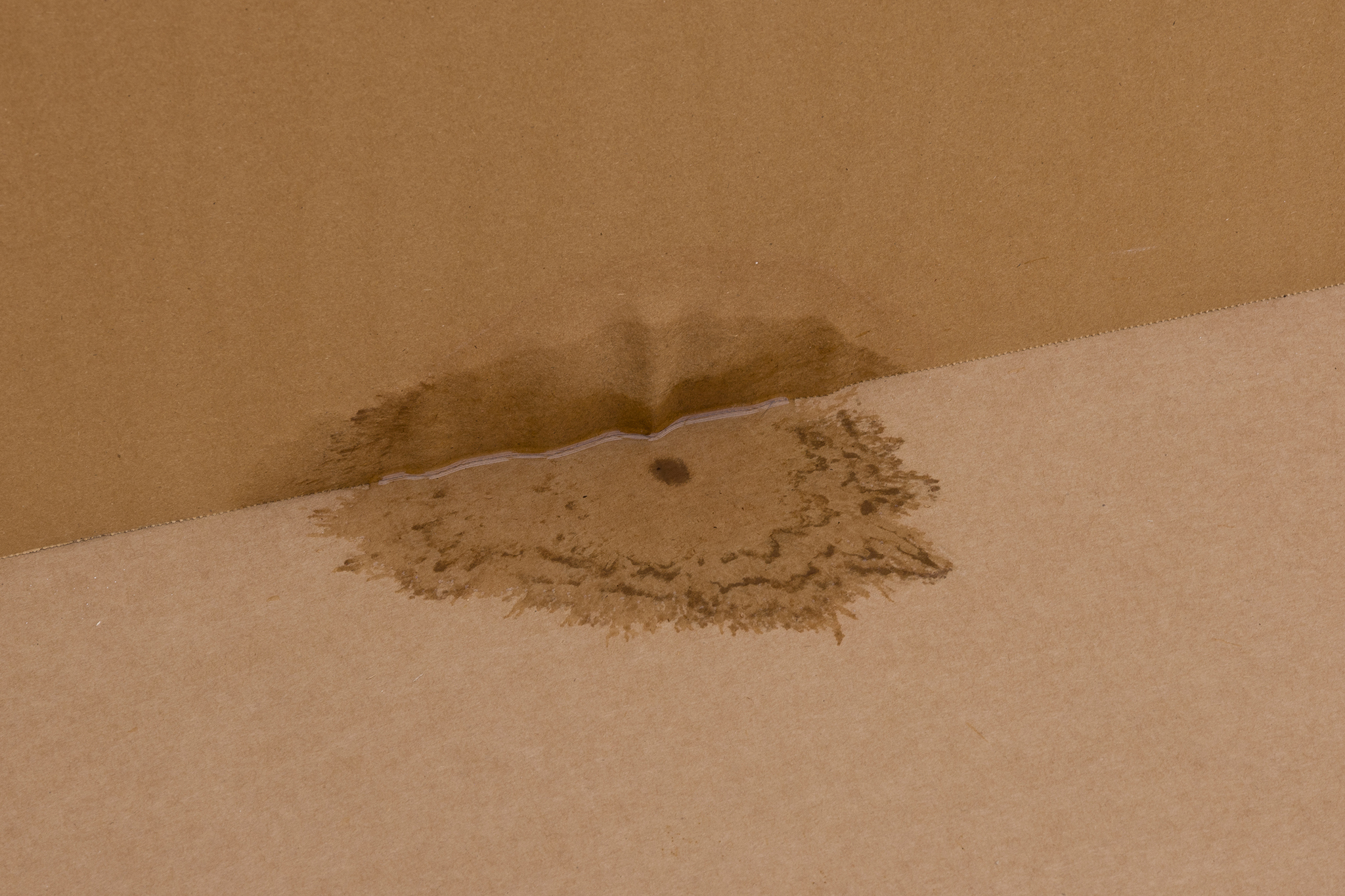 Ian Waelder, thereafter, 2025, installation view, Kestner Gesellschaft, Hannover
