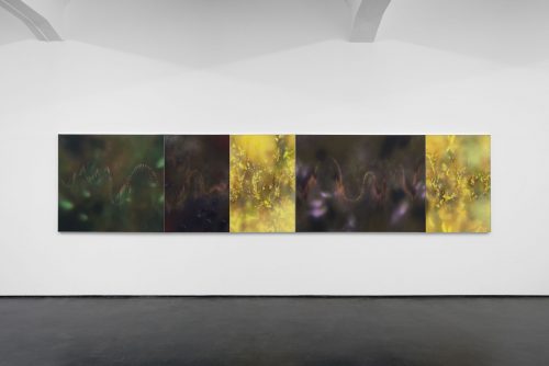 Installation view valeurs refuge 2025 Marjorie Brunet Plaza 5 web
