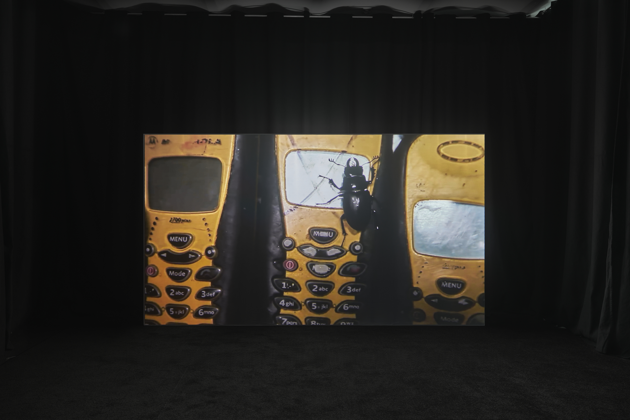 Michael E. Smith Beetlejuice Dub, 2013, screening at skala, Poznań, ©T.Koszewnik