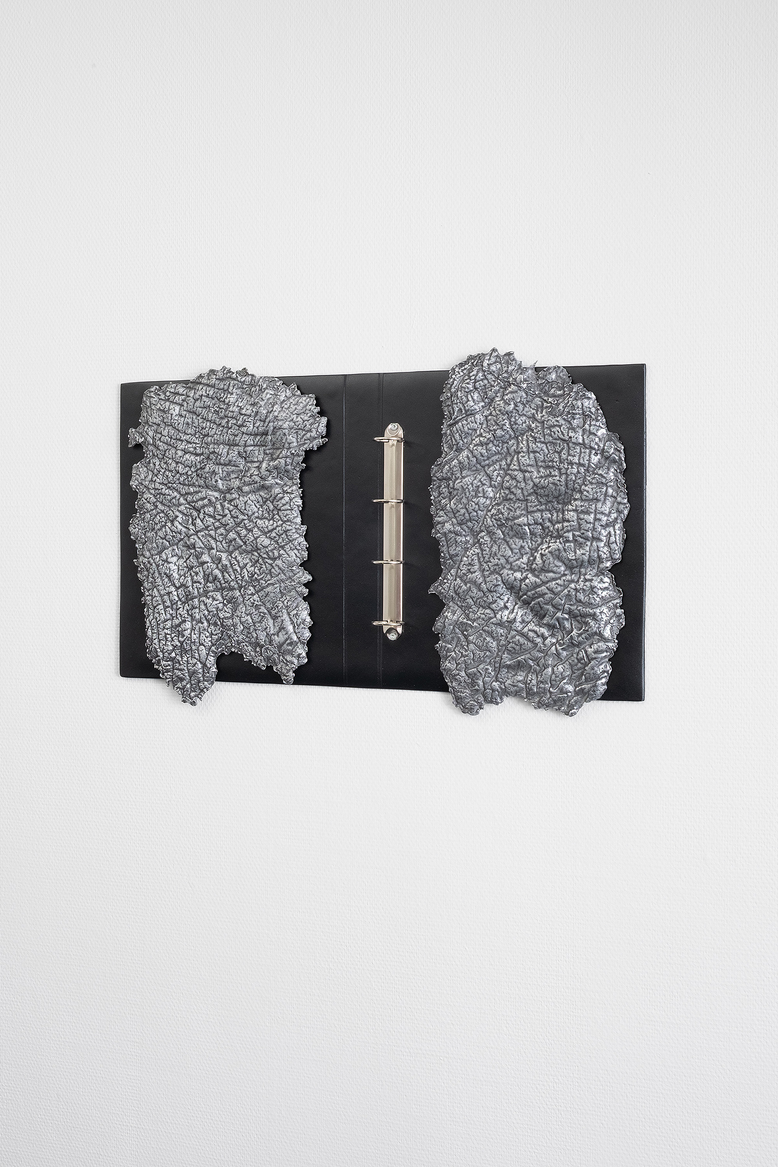Irina Lotarevic - Binder with Skins 1