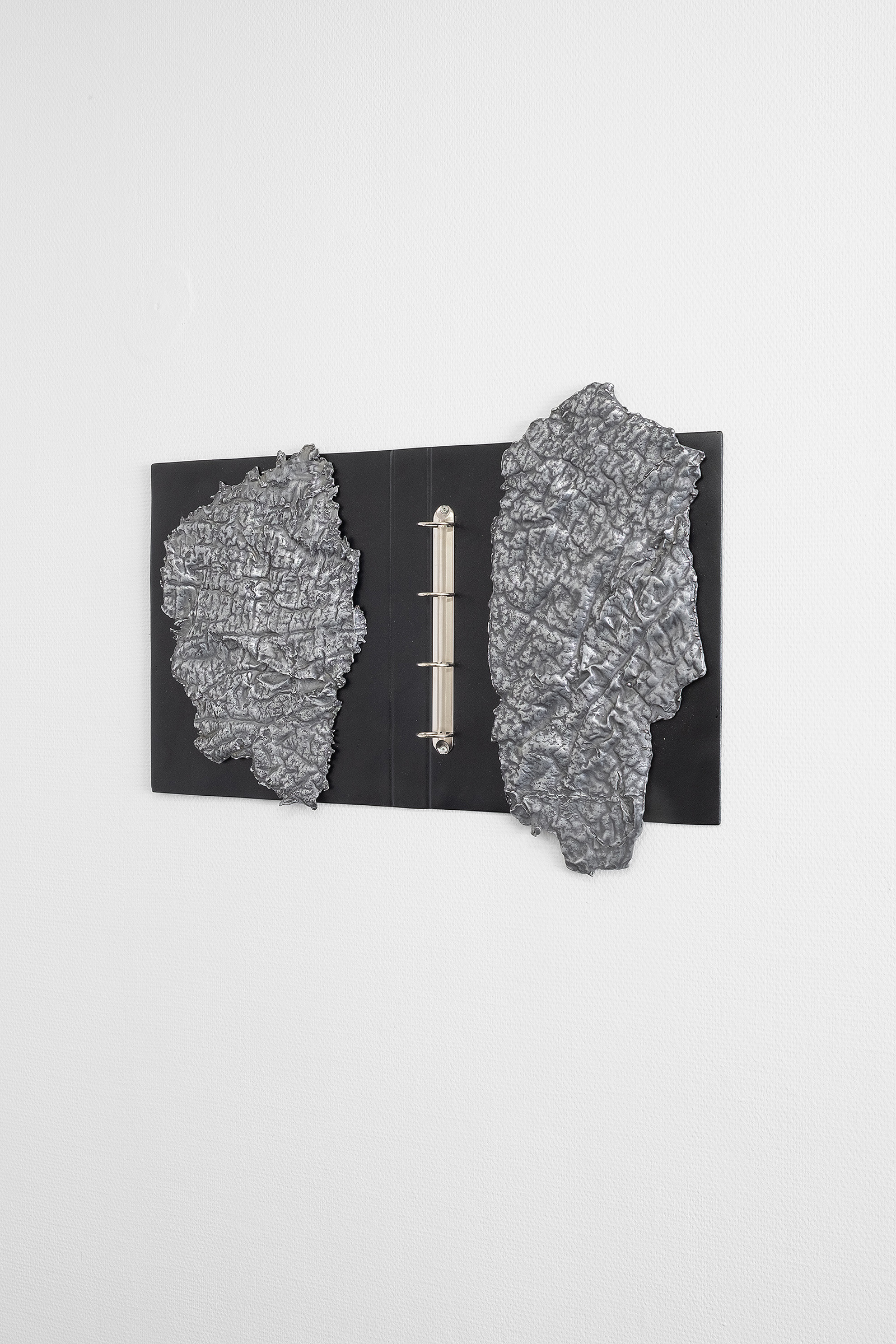 Irina Lotarevic - Binder with Skins 1