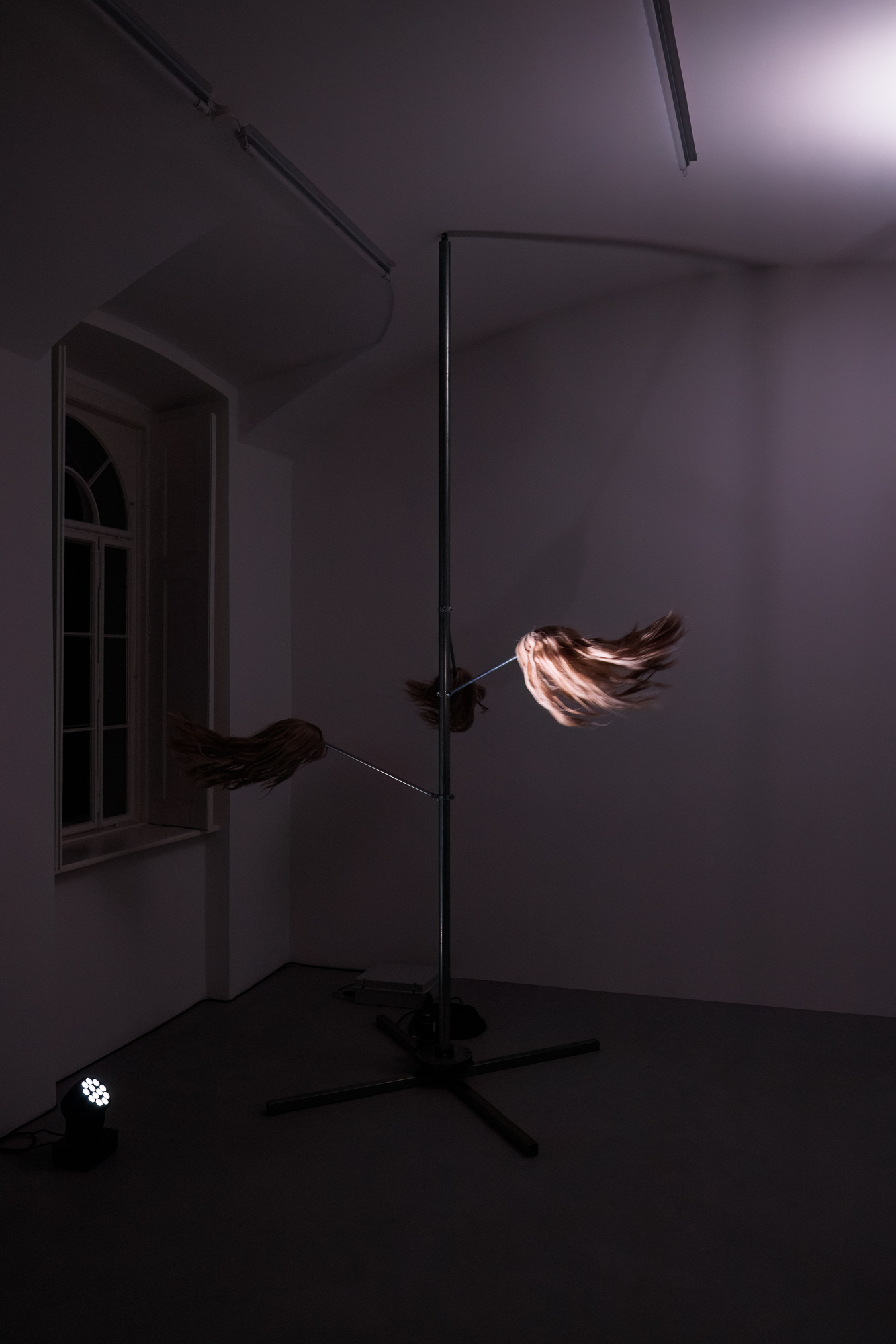 Anna Franceschini, NIGHTS OUT BLONDE 1, 2025, KUNSTVEREIN GARTENHAUS, Vienna