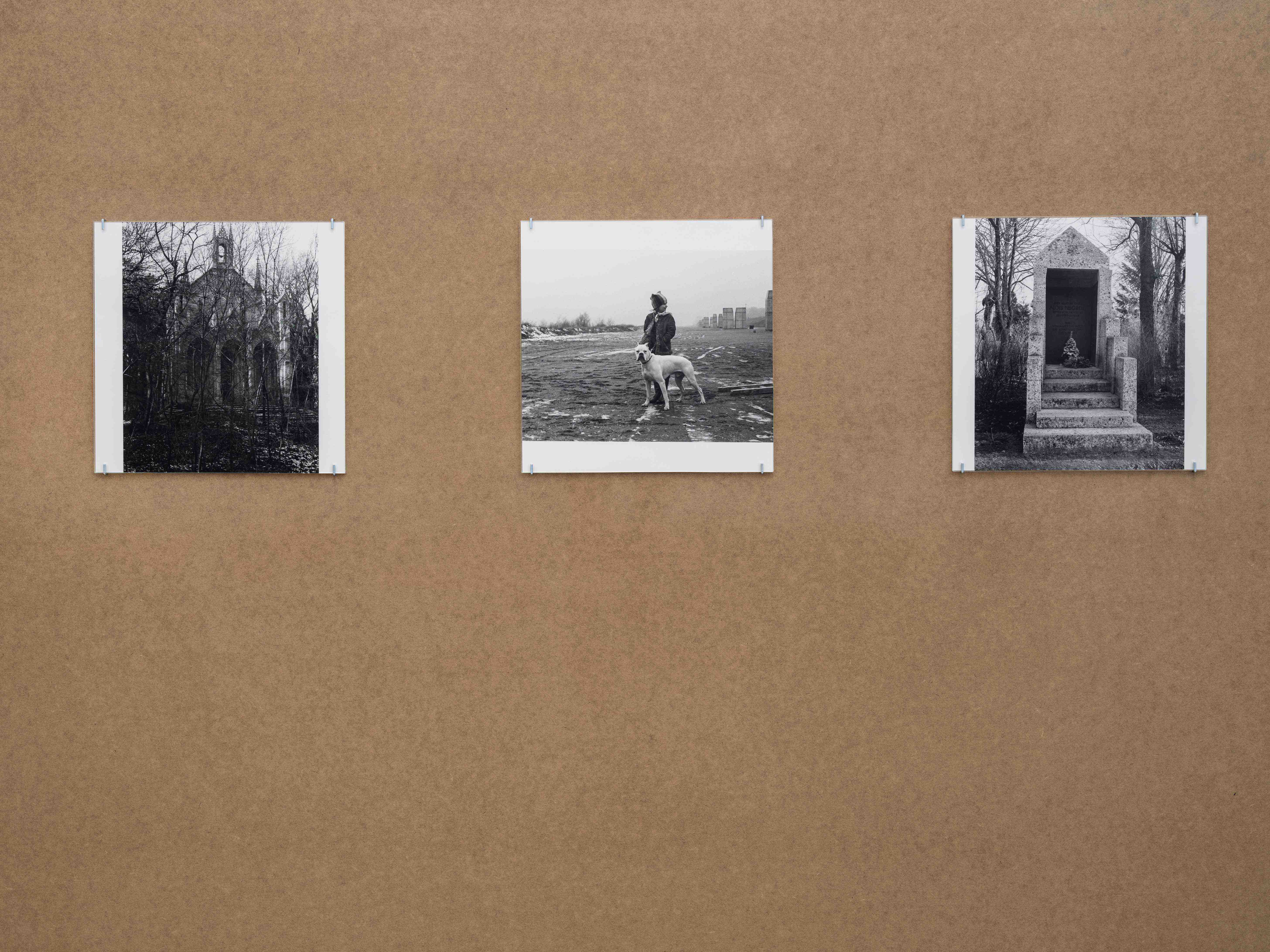 Cora Pongracz, 8 erweiterte portraits, Ausstellungsansicht / Installation view, Kunstverein fĂŒr Mecklenburg und Vorpommern in Schwerin, 2025. Courtesy: Fotosammlung OstLicht, Wien / OstLicht Collection, Vienna. Foto / Photo: Fred Dott.