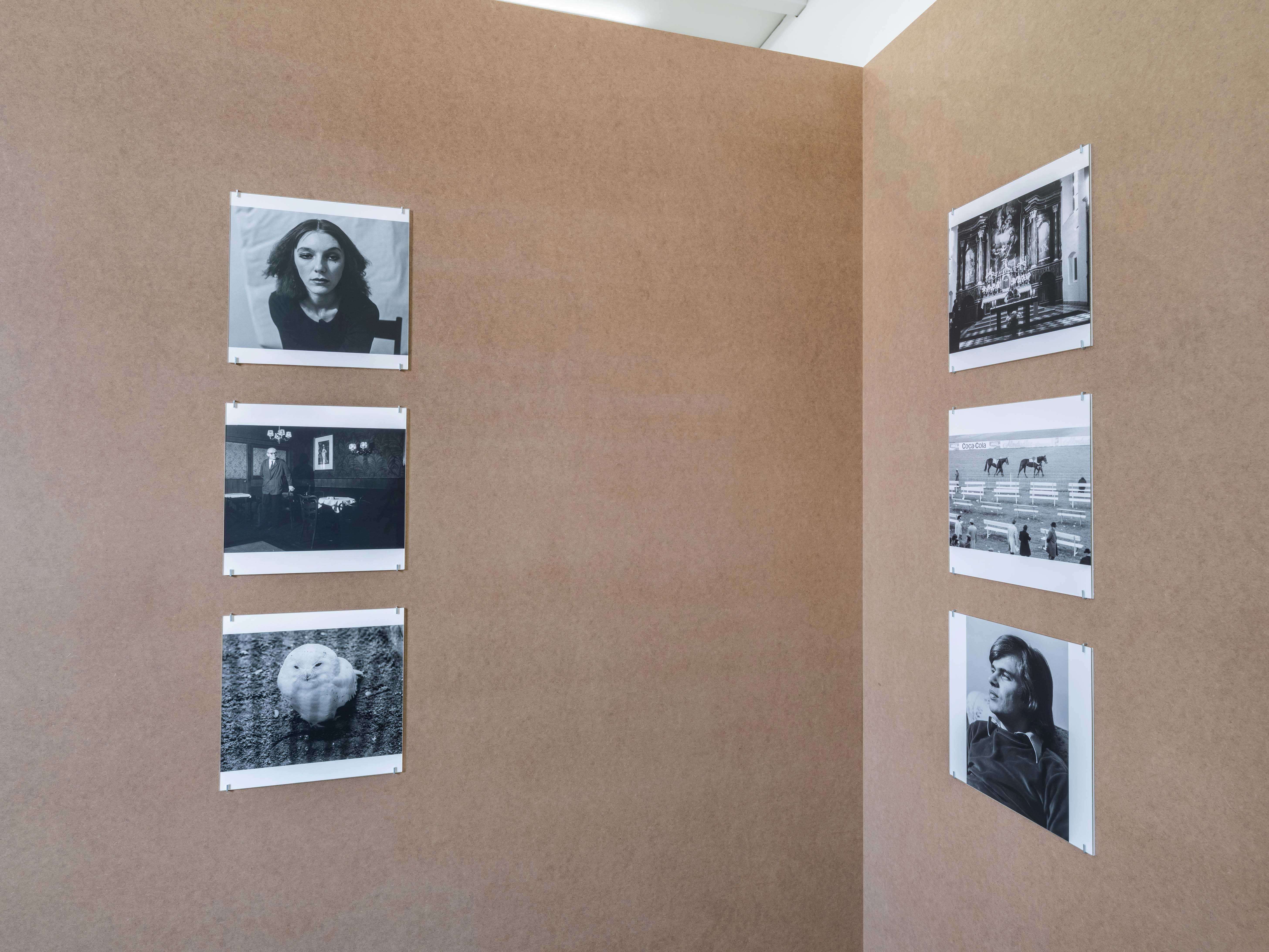 Cora Pongracz, 8 erweiterte portraits, Ausstellungsansicht / Installation view, Kunstverein fĂŒr Mecklenburg und Vorpommern in Schwerin, 2025. Courtesy: Fotosammlung OstLicht, Wien / OstLicht Collection, Vienna. Foto / Photo: Fred Dott.