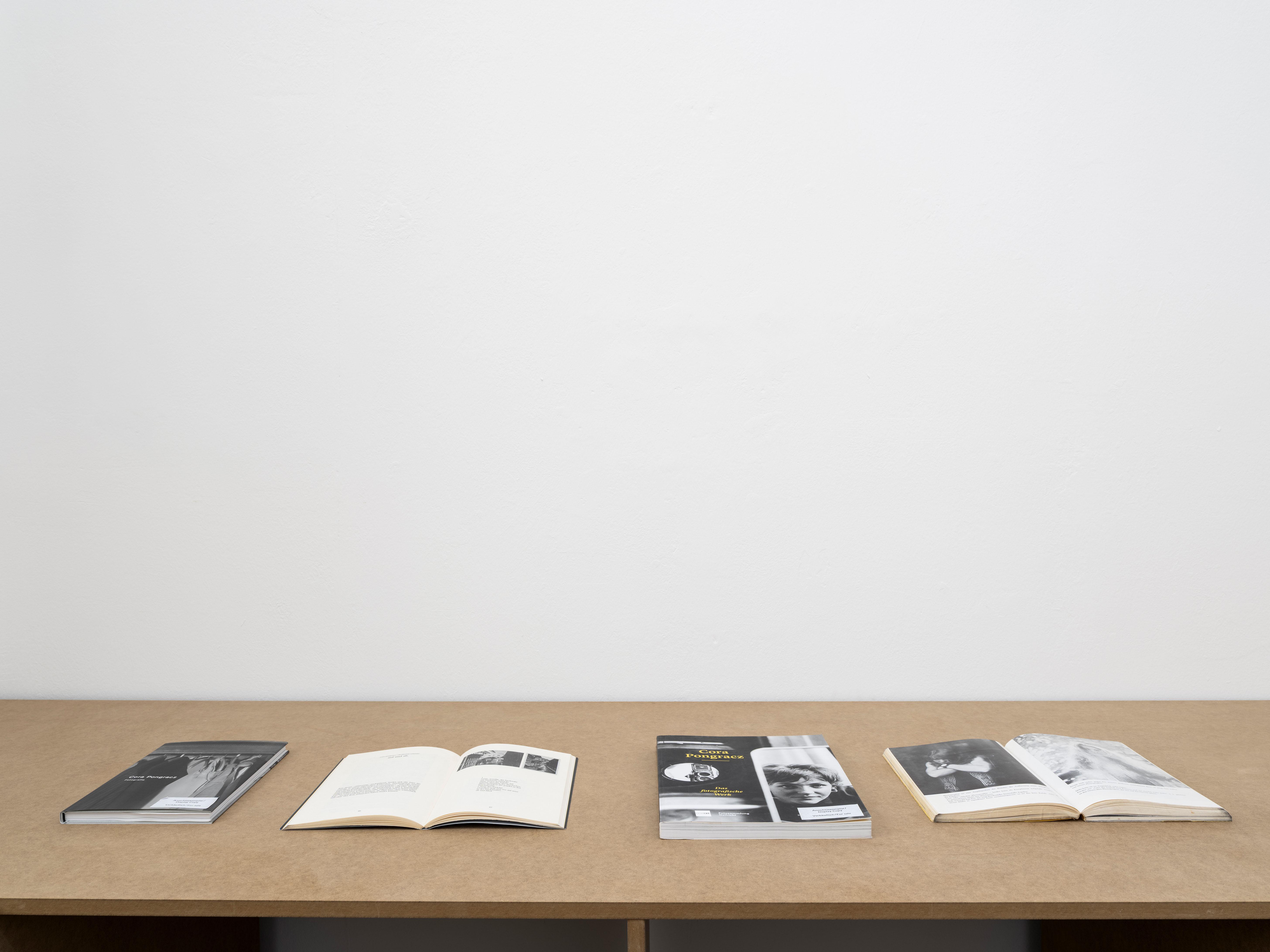 Cora Pongracz, 8 erweiterte portraits, Ausstellungsansicht / Installation view, Kunstverein fĂŒr Mecklenburg und Vorpommern in Schwerin, 2025. Courtesy: Fotosammlung OstLicht, Wien / OstLicht Collection, Vienna. Foto / Photo: Fred Dott.