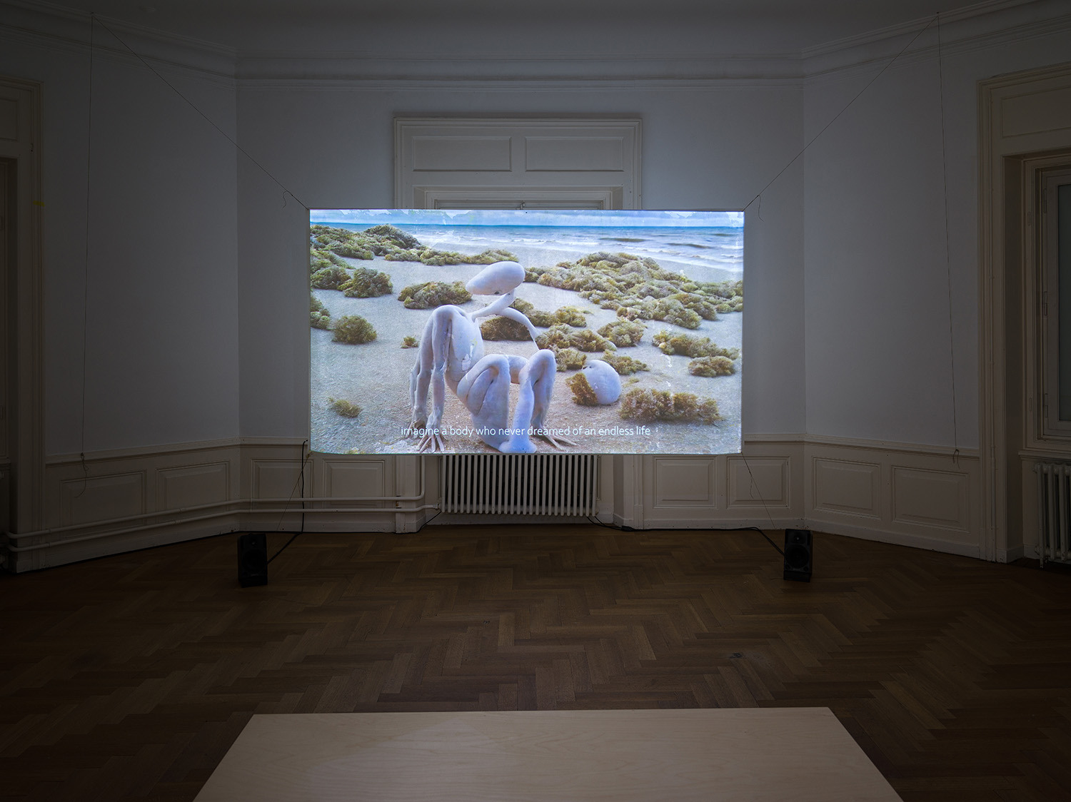 Daniela Brugger, due to technical problems, 2023. Ausstellungsansicht Kunsthaus Langenthal. Foto: Cedric Mussano, Kunsthaus Langenthal. Courtesy: die Künstlerin.