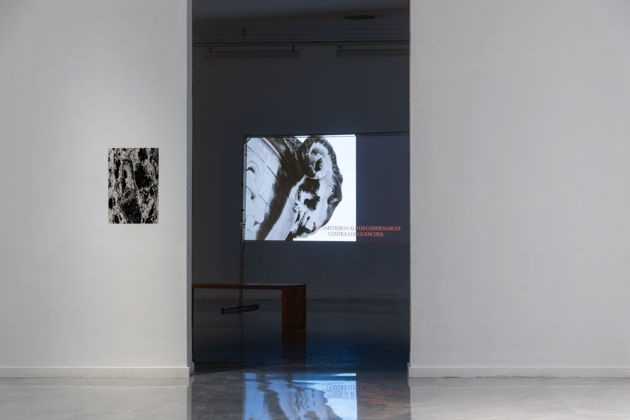 ‘Speakers for the dead / Palabreras de la muerte’. Exhibition view. SAC, Tenerife, 2025. 