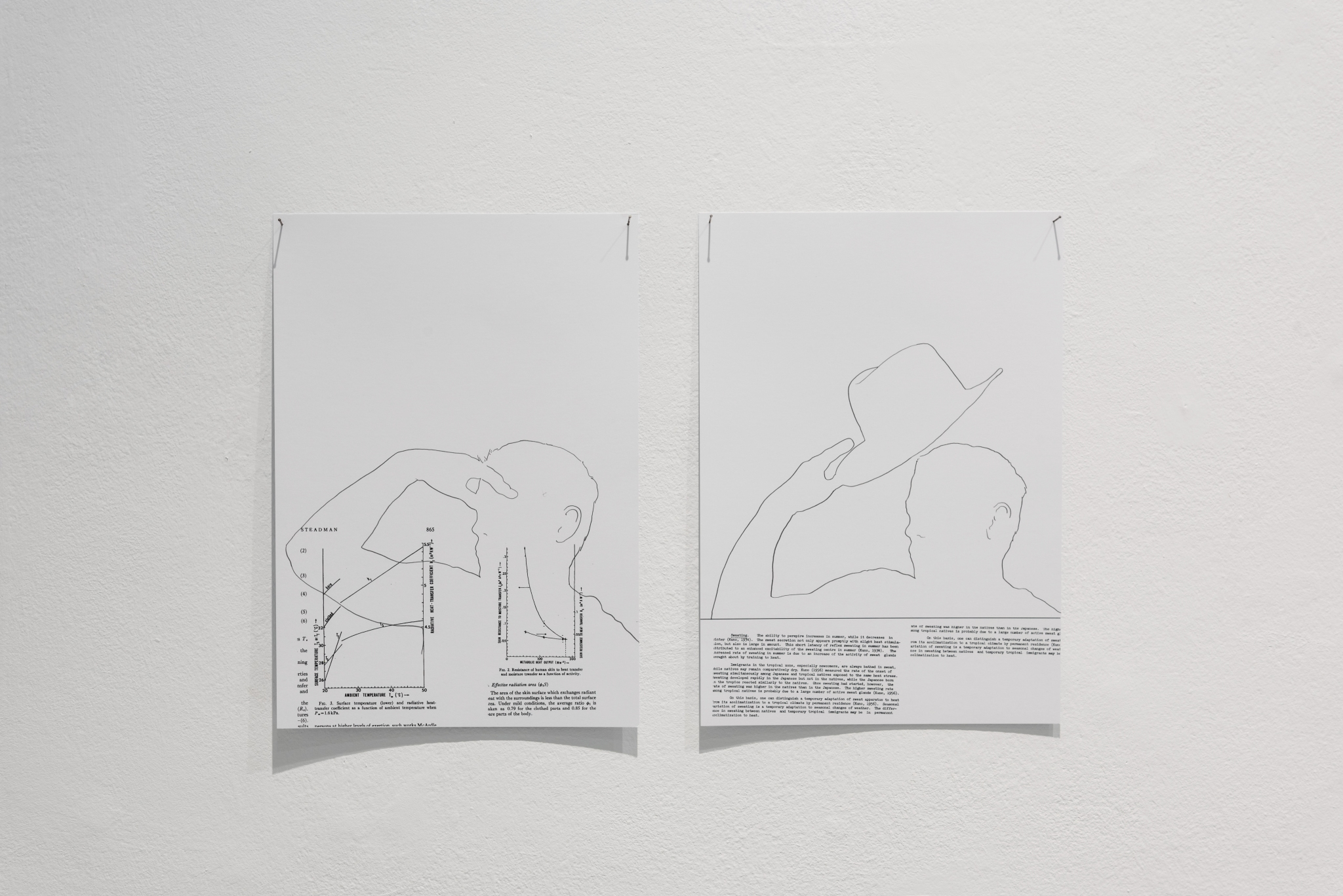 Eduardo Hodgson. Several works, 2025.