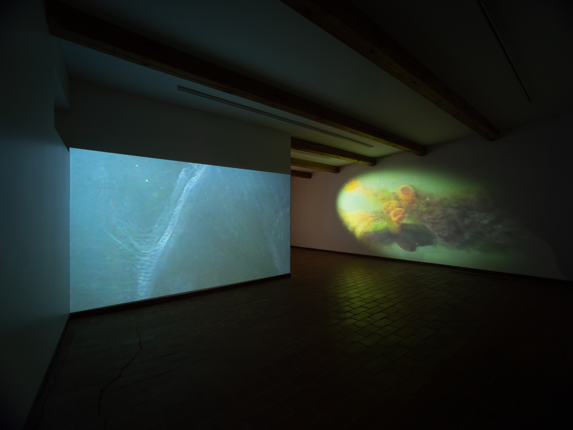 Preila Project at Pamario Gallery