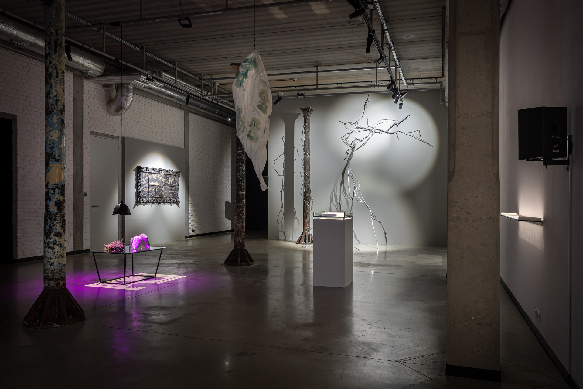 "Ward Garden. Plants in Times of Conflict", view of exhibition, 66P Subjective Institution of Culture, Wrocław 2025, photo by Michał Pietrzak (1)