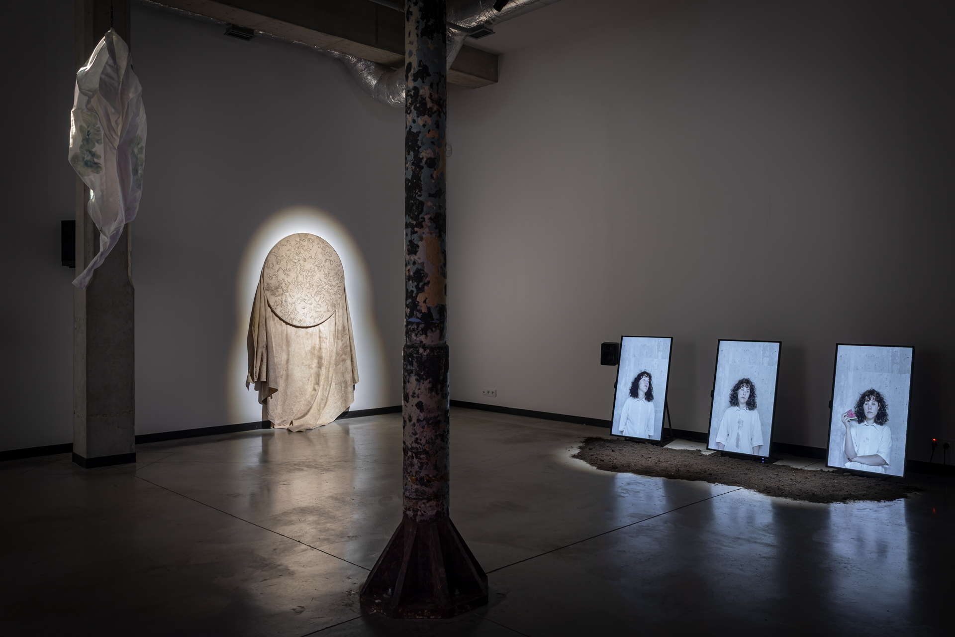 "Ward Garden. Plants in Times of Conflict", view of exhibition, 66P Subjective Institution of Culture, Wrocław 2025, photo by Michał Pietrzak (3)