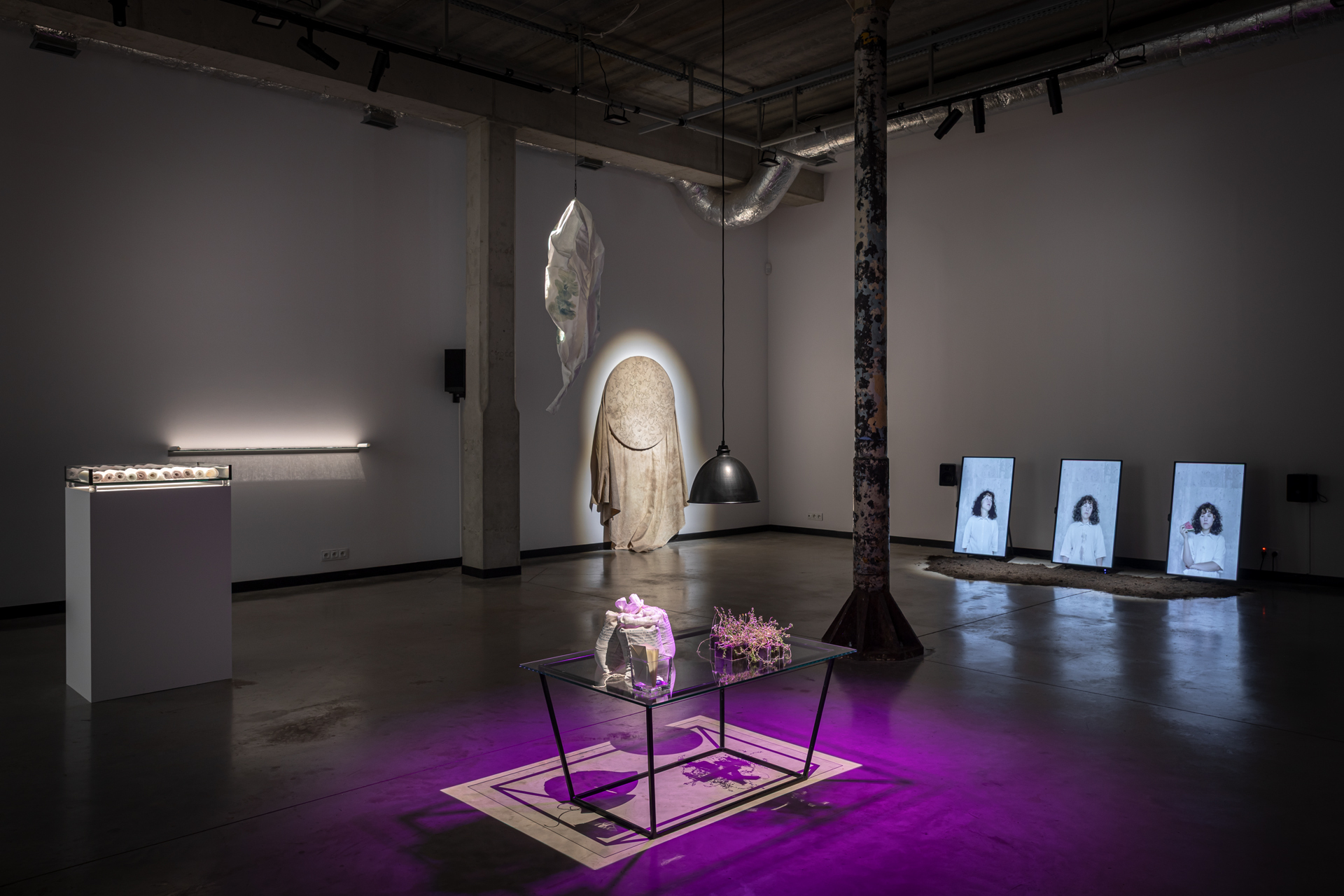 "Ward Garden. Plants in Times of Conflict", view of exhibition, 66P Subjective Institution of Culture, Wrocław 2025, photo by Michał Pietrzak (4)