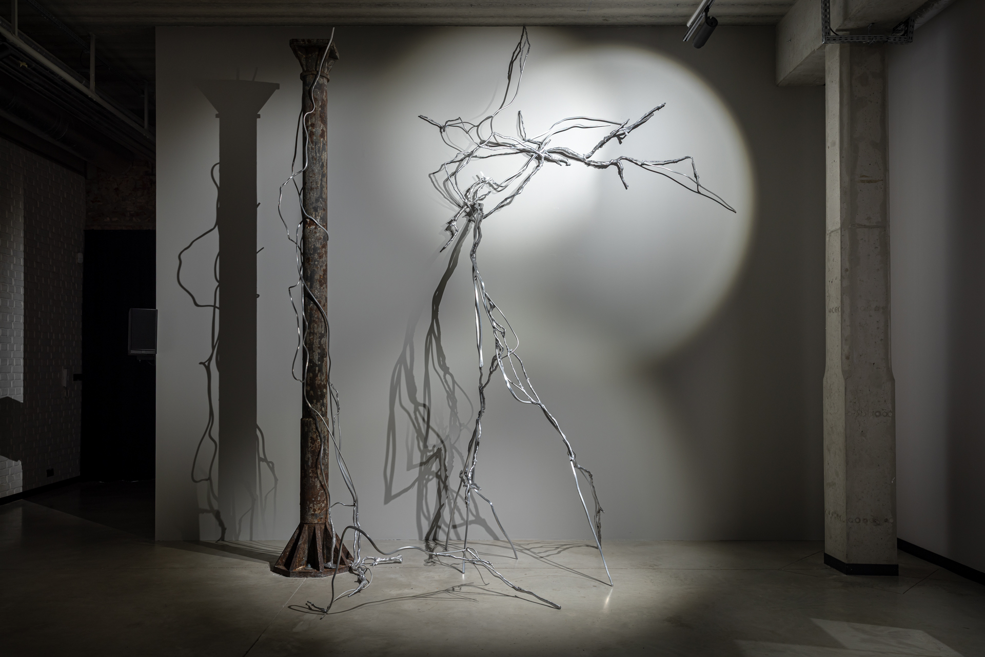 Anna Bojak, "Roots", 2025, installation, casting technique, welded aluminium, cast iron, acrylic, variable dimensions, approx. 370 x 300 x 170 cm