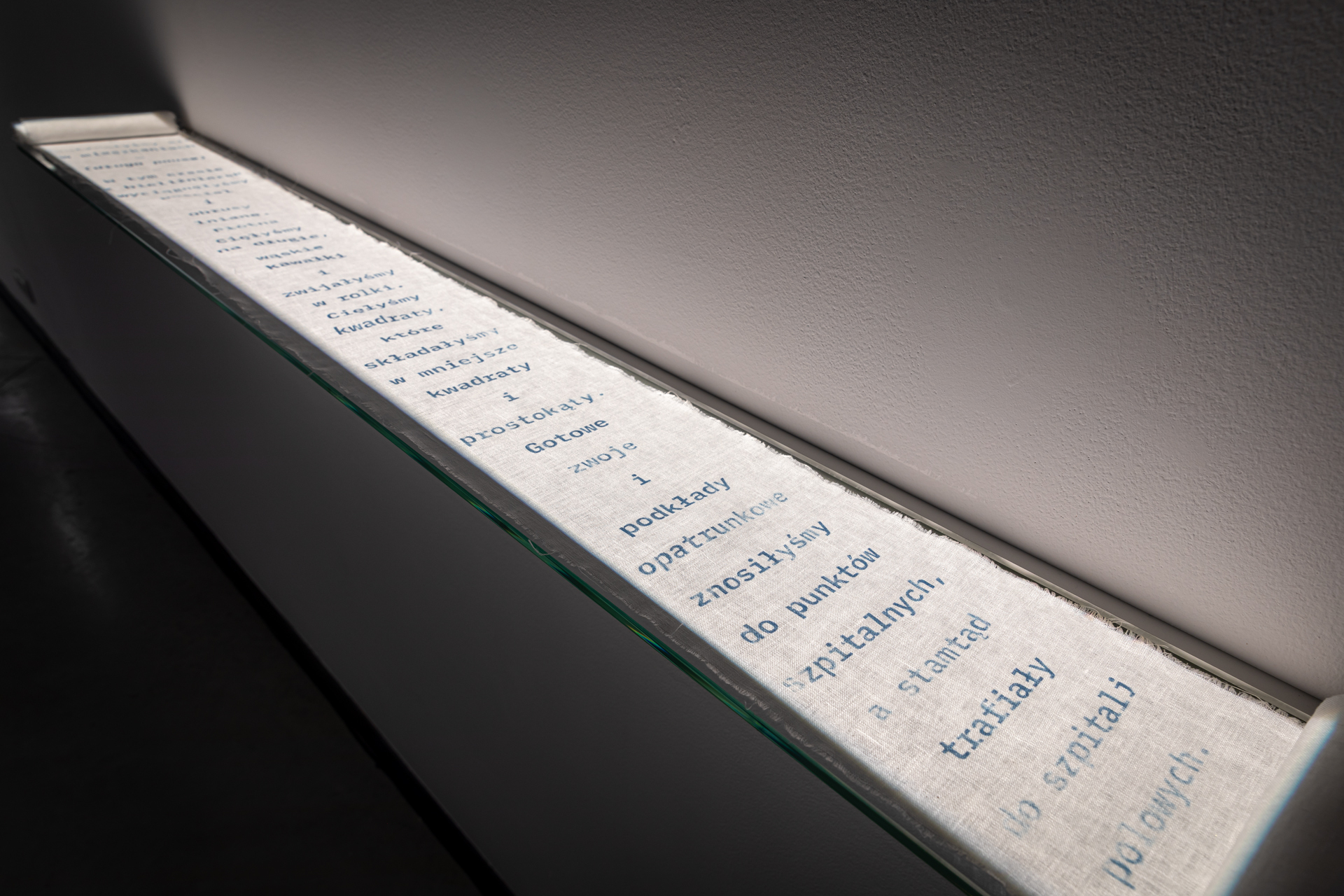 Mira Boczniowicz, "Scrolls and Shroud. The Essence of Life 2025, installation, cyanotype, biomedia, linen, canvas, flax, seeds, soil, plants, in photosynthesis and vegetation glass, various, dimentions (detail 2)