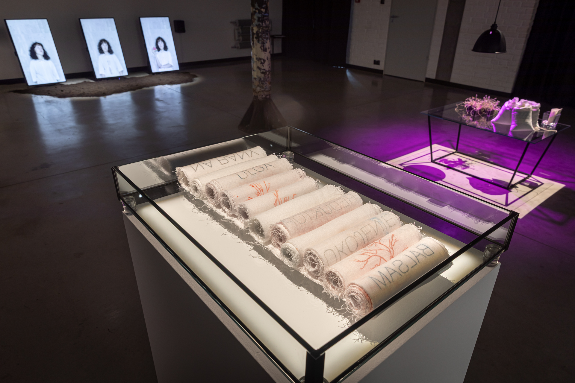 Mira Boczniowicz, "Scrolls and Shroud. The Essence of Life 2025, installation, cyanotype, biomedia, linen, canvas, flax, seeds, soil, plants, in photosynthesis and vegetation glass, various, dimentions (detail 3)