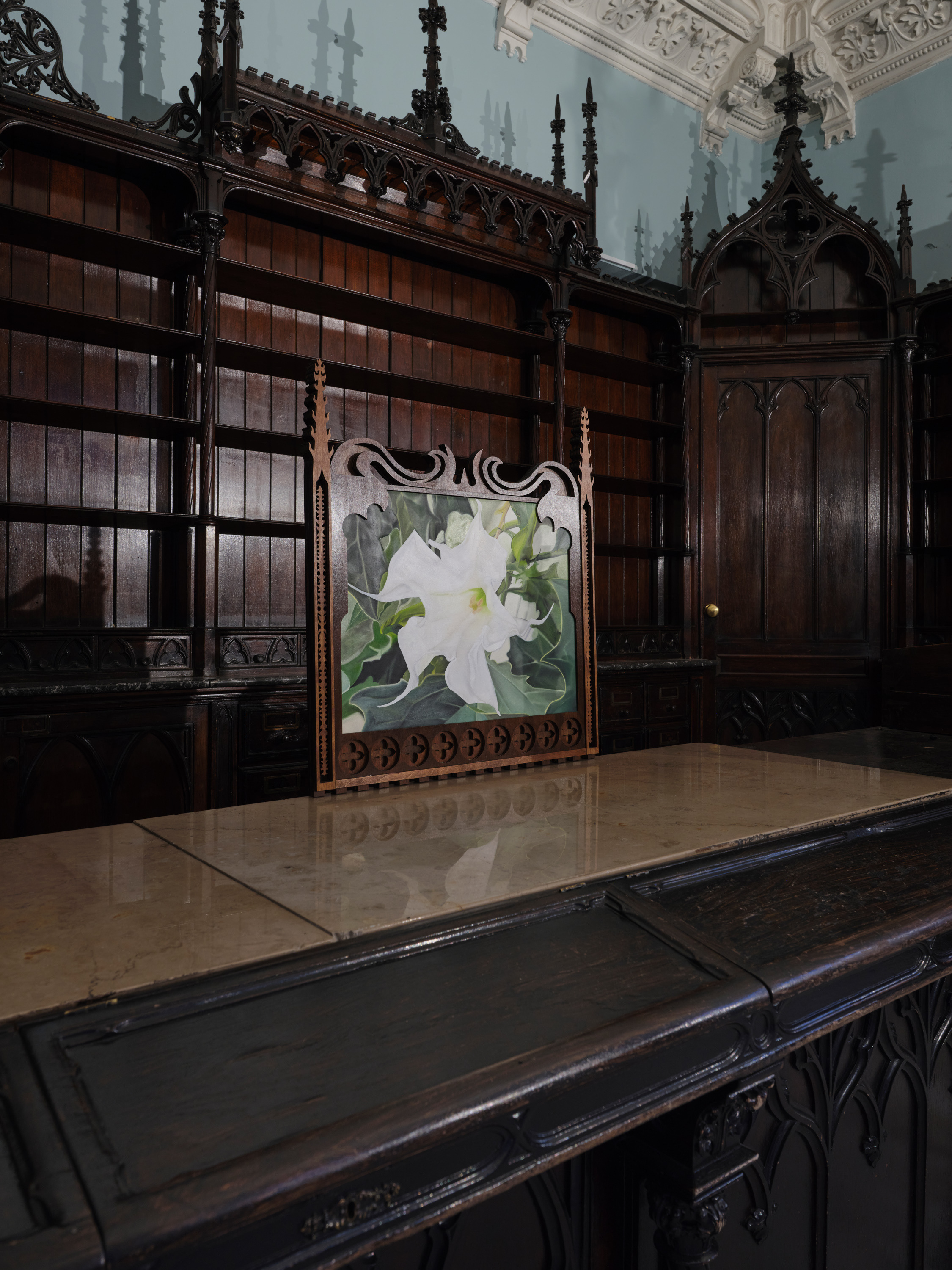 Justyna Baśnik, Datura, 2025, 66x60cm, oil on canvas, wood