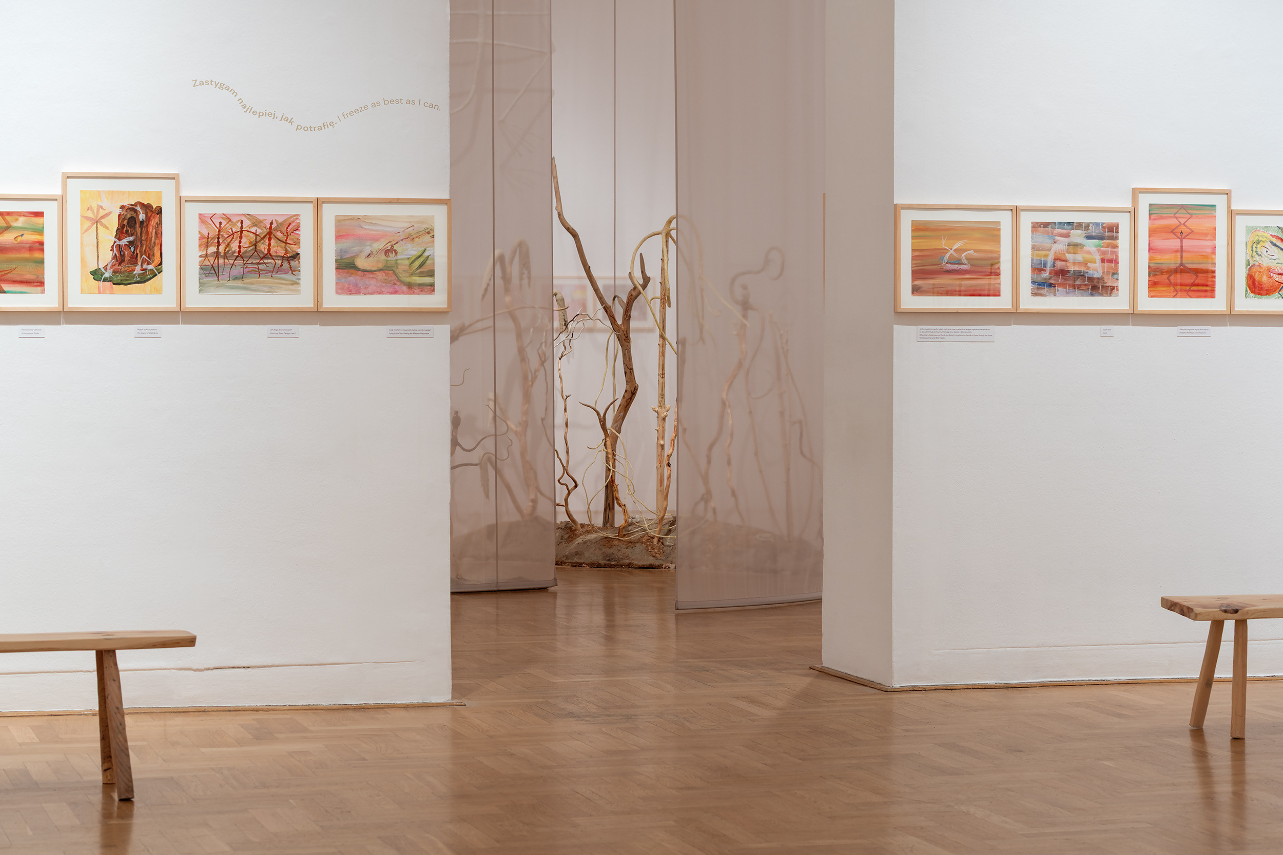 Exhibition view, Joanna Fluder. Slime, Zachęta – National Gallery of Art., 25.07- 19.10.2025, photo by Maciej Landsberg/Zachęta archive, CC BY – SA