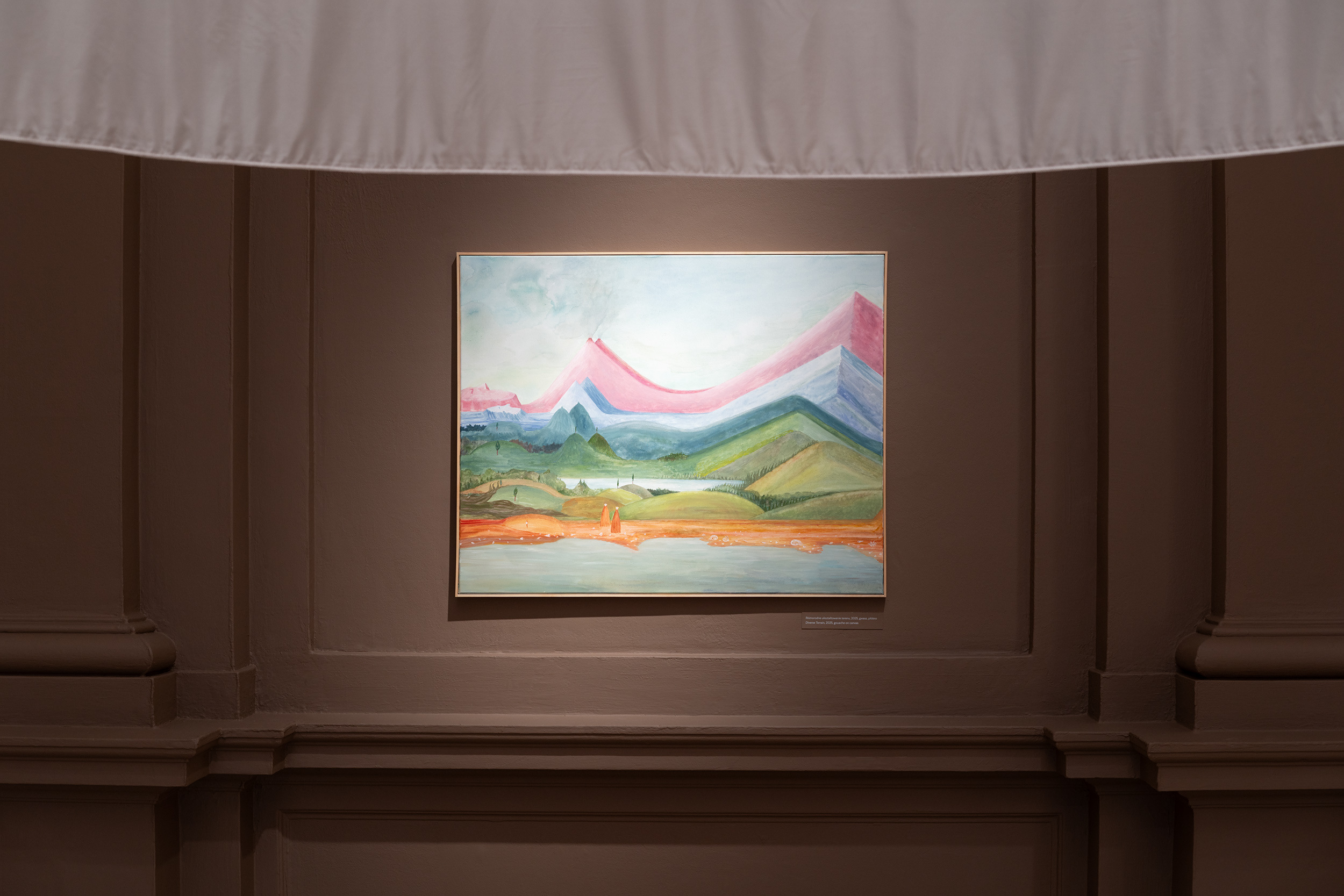 Diverse Terrain, 2025, gouache on canvas,exhibition, Joanna Fluder. Slime, Zachęta – National Gallery of Art., 25.07- 19.10.2025, photo by Maciej Landsberg/Zachęta archive, CC BY – SA