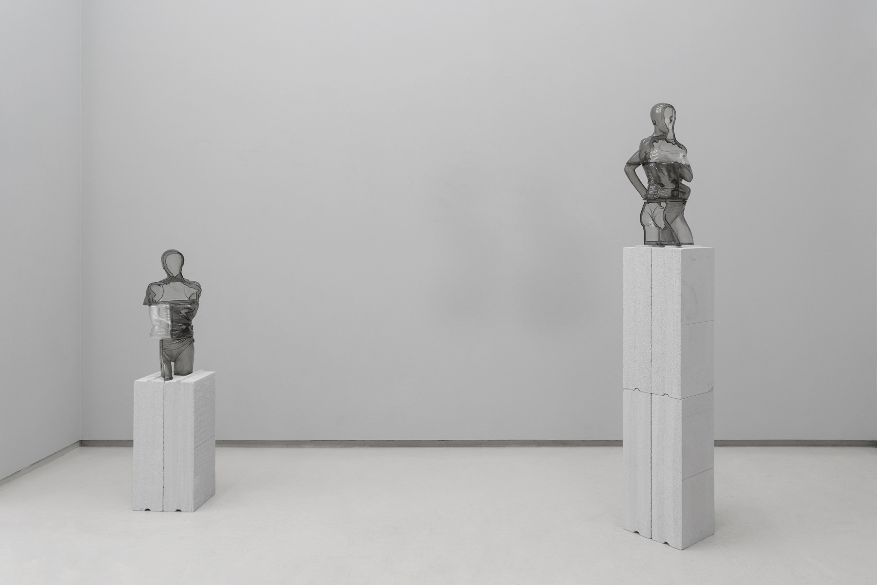 INSTALLATION VIEW - Through invisible walls - curated by Elisa Bonzano - ph by Sarah Indriolo