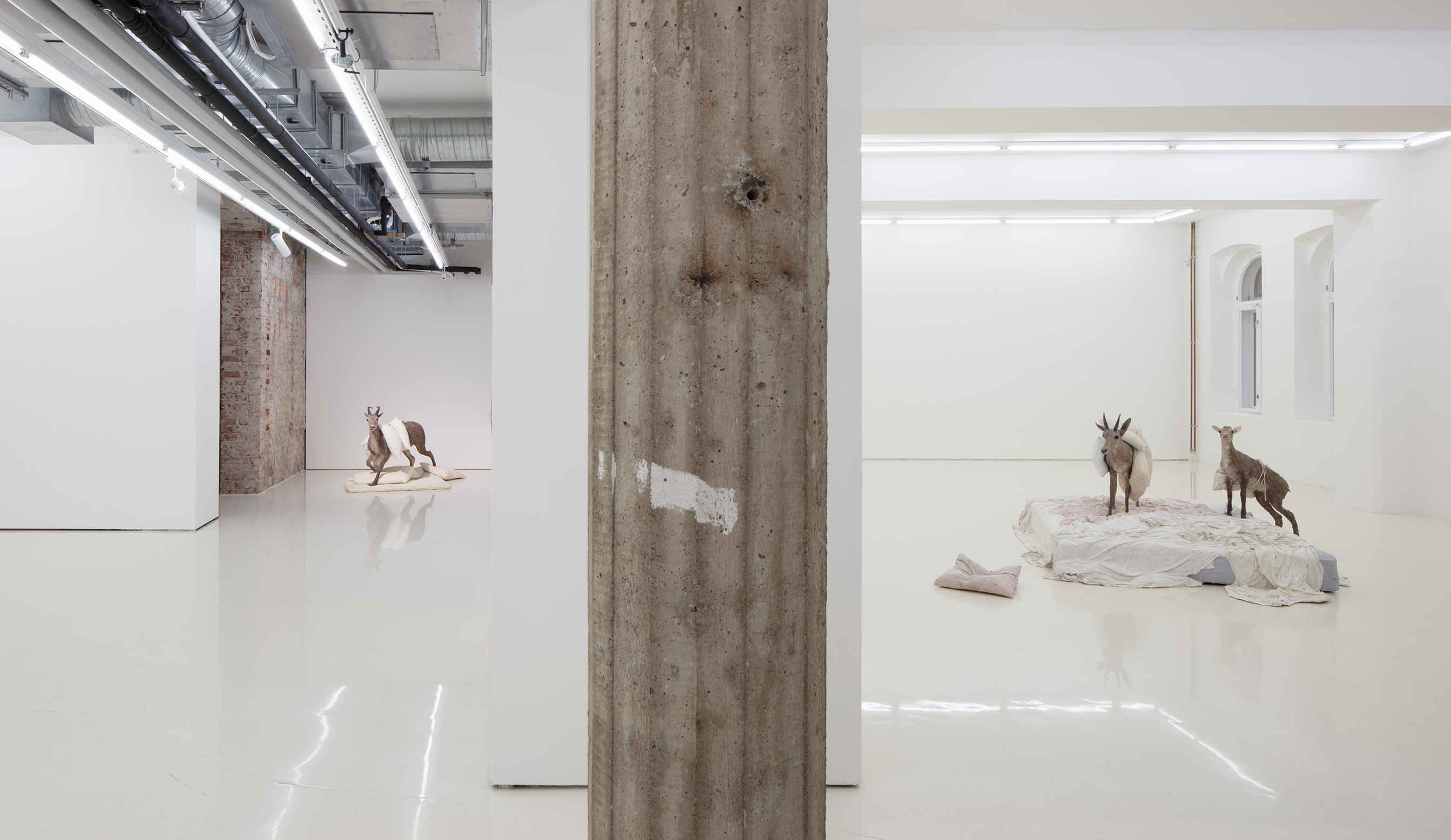 Installation view of Roland Persson: Uninvited Guest at Helsinki Contemporary, 3.-26.10.2025.