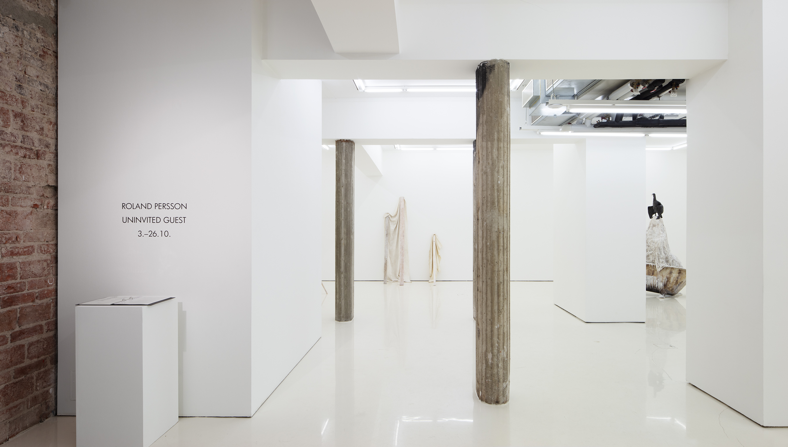 Installation view of Roland Persson: Uninvited Guest at Helsinki Contemporary, 3.-26.10.2025.