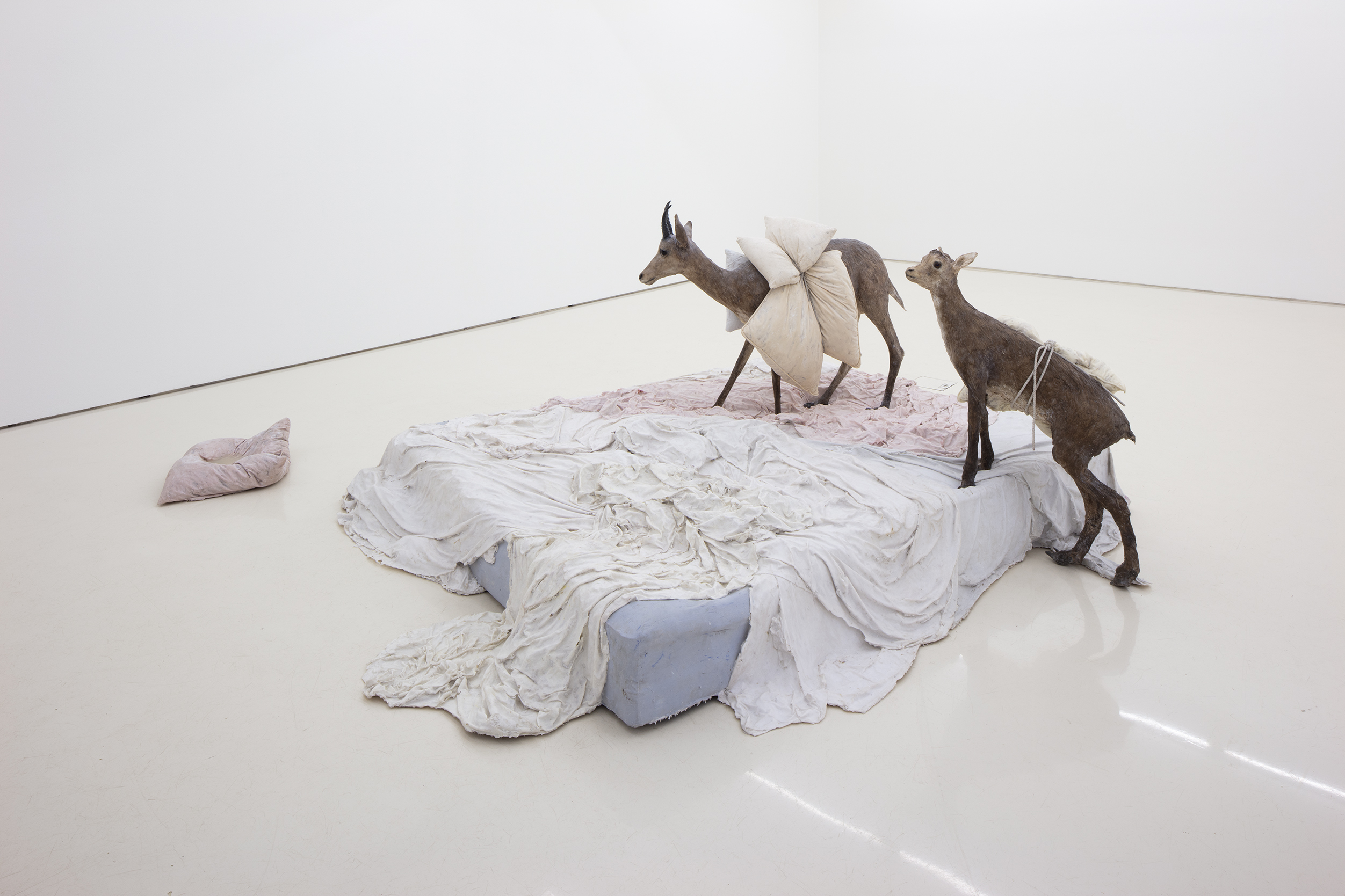 Installation view of Roland Persson: Uninvited Guest at Helsinki Contemporary, 3.-26.10.2025.
