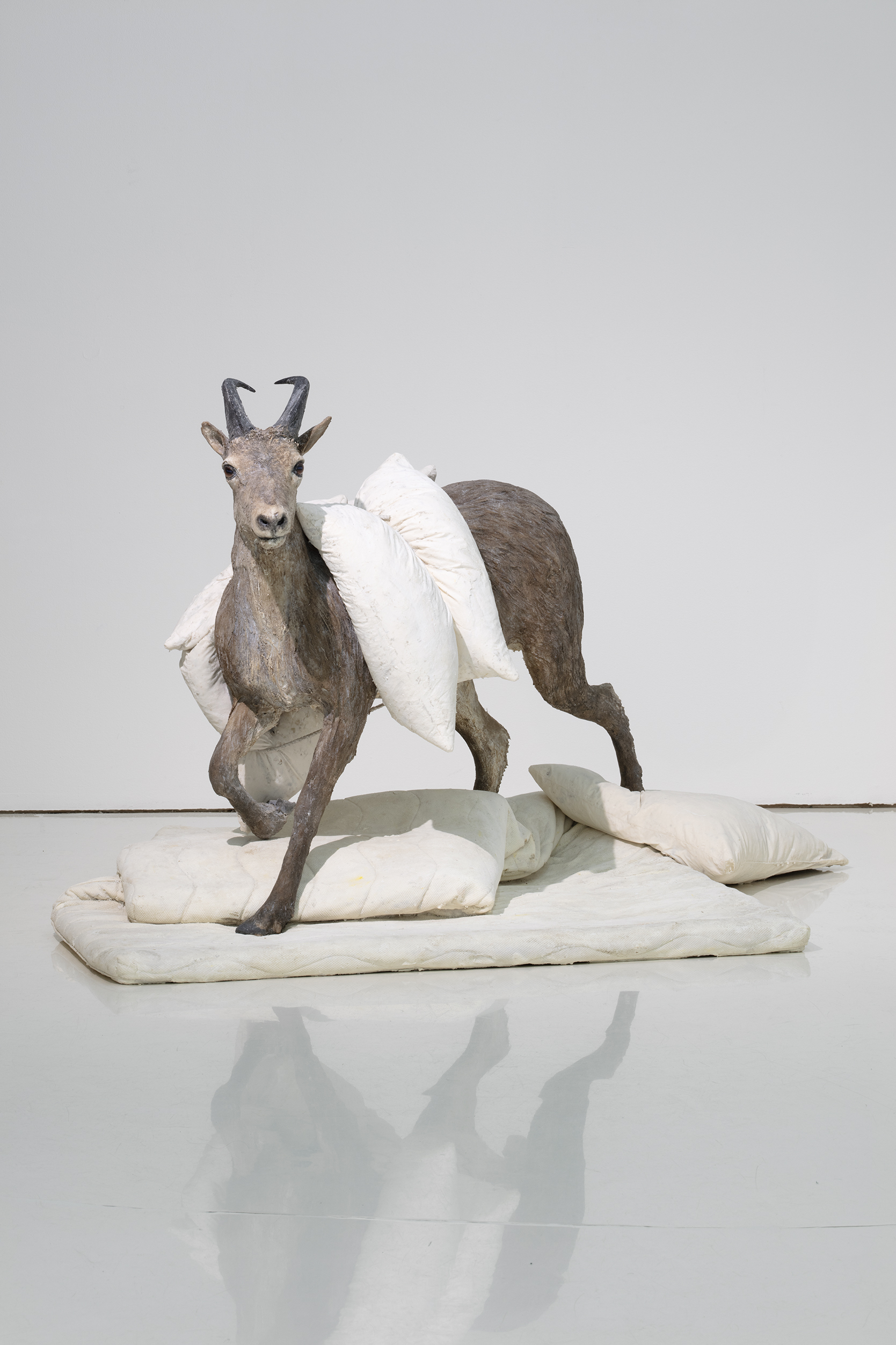 Roland Persson: Tonight's visit, 2025, silicone.