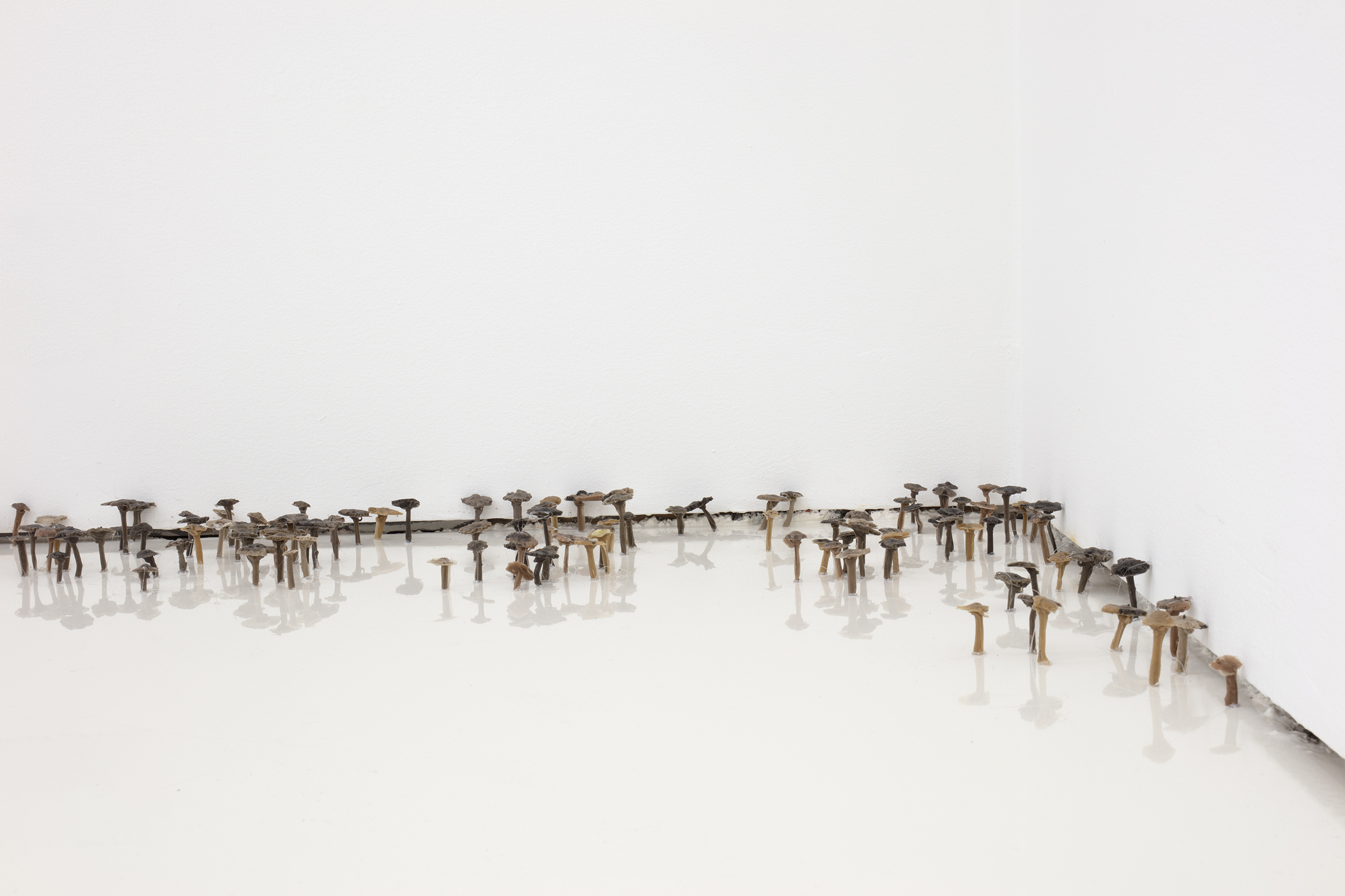 Roland Persson: Unvisible Roots, 2025, silicone.