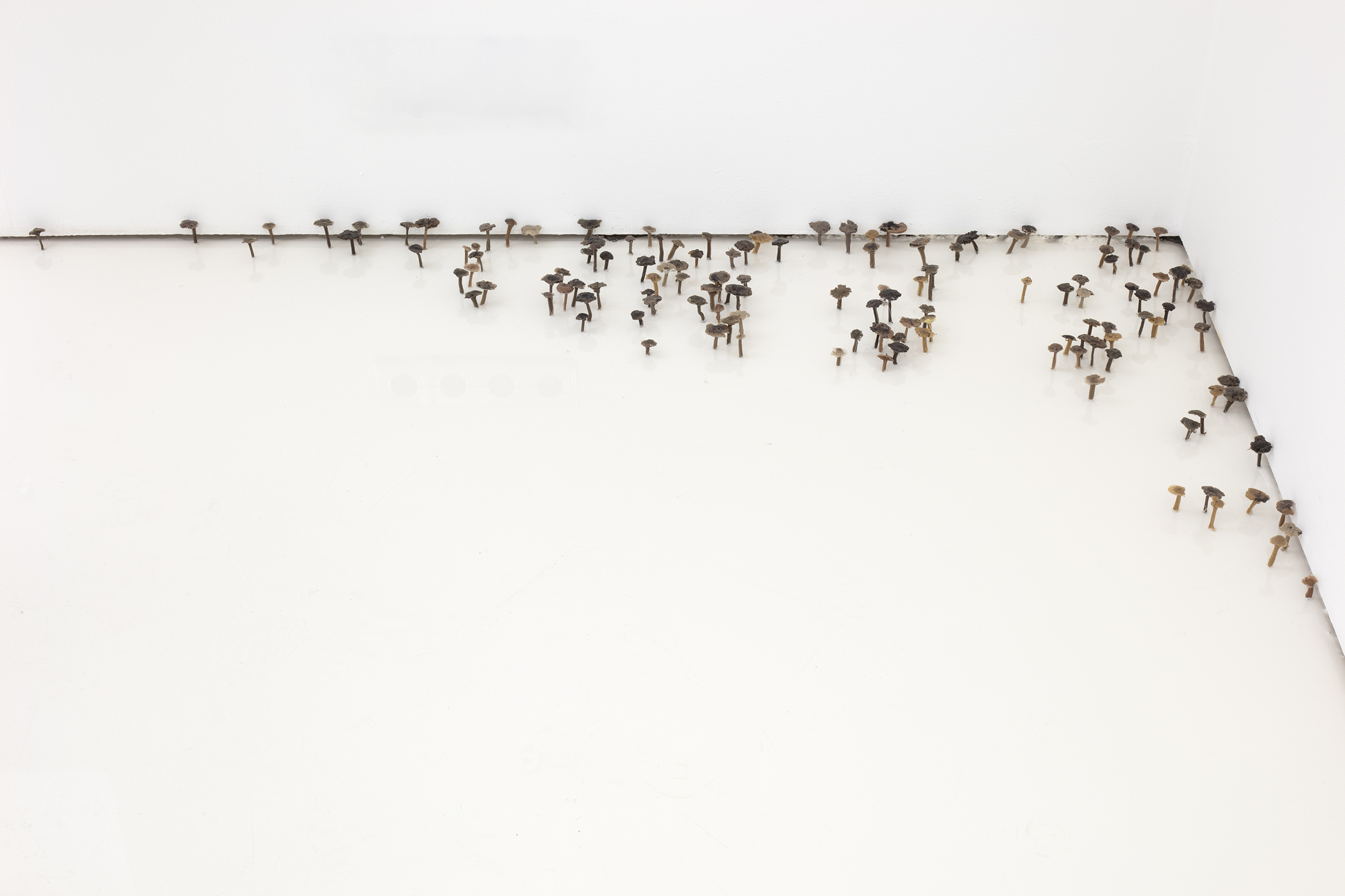 Roland Persson: Unvisible Roots, 2025, silicone.