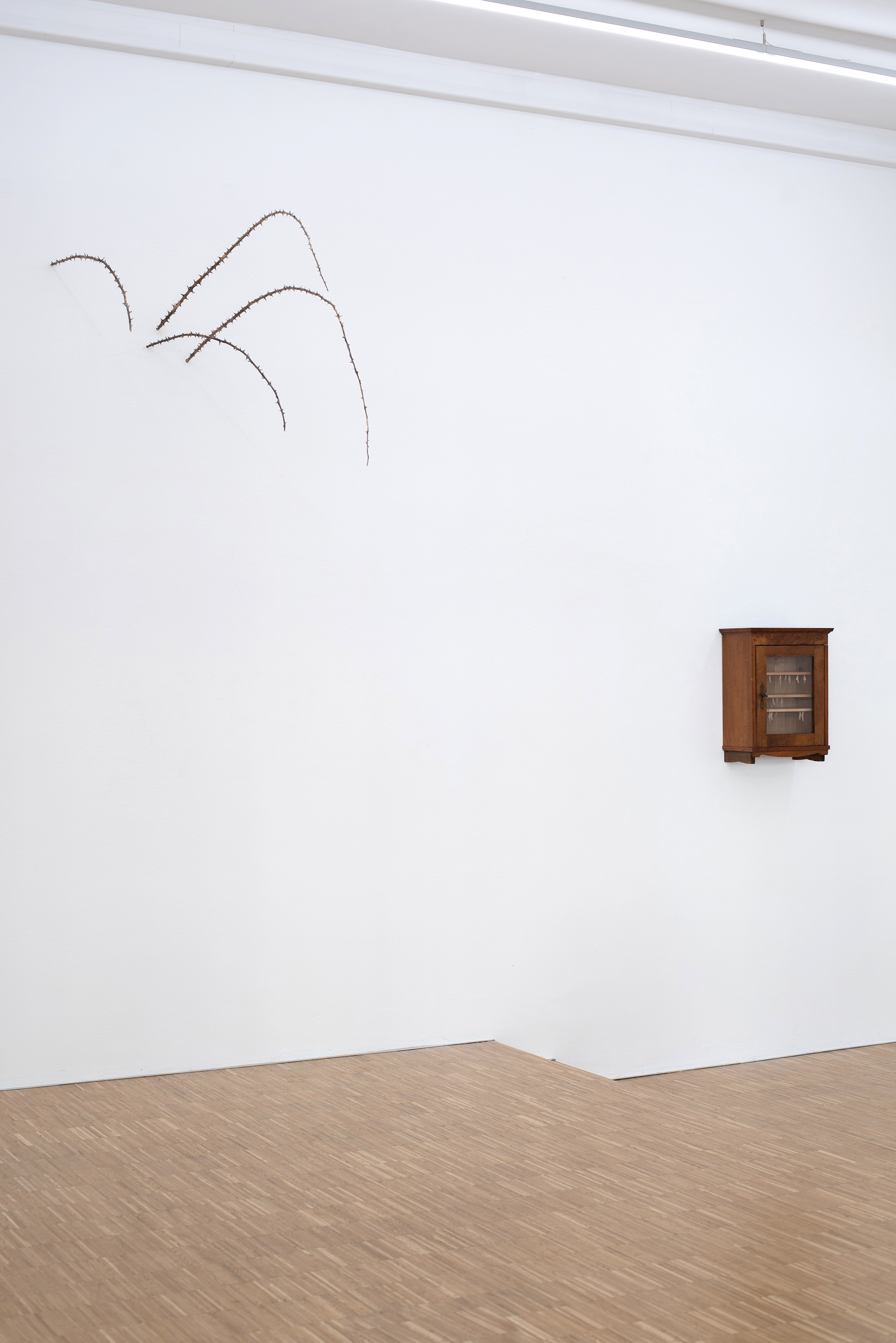 Lea Grebe, Invasive Thoughts, installation view, The Tiger Room, Munich