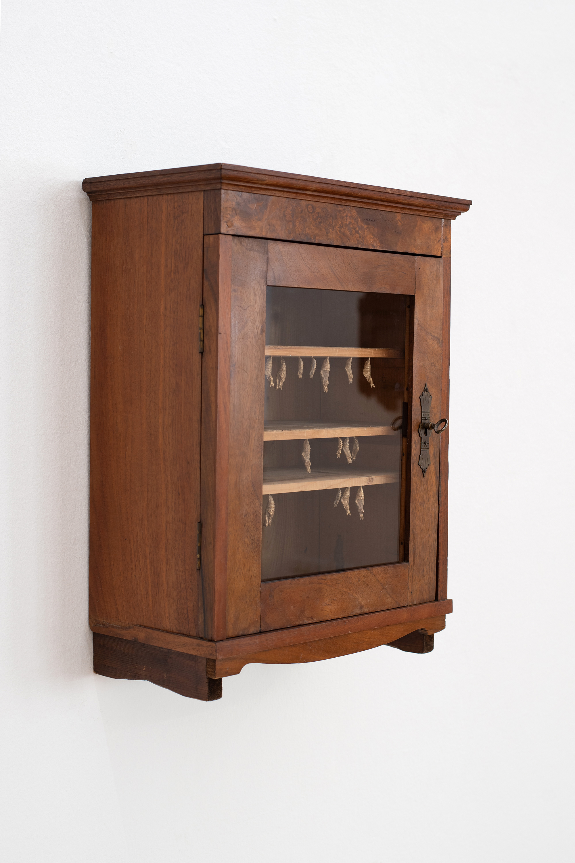 Lea Grebe, Cabinet II (cocoons), 2025, wood, bronze