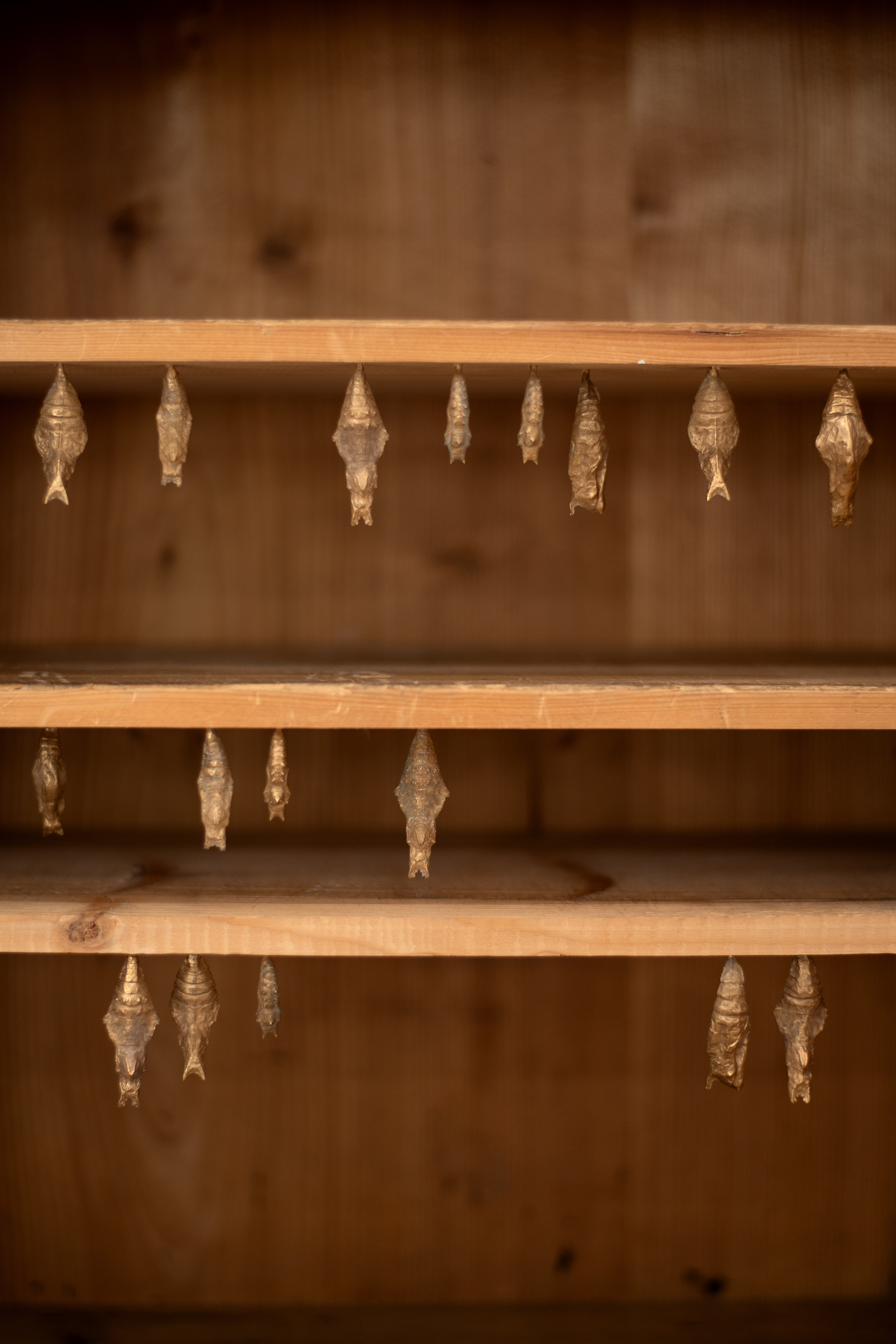 Lea Grebe, Cabinet II (detail), 2025, wood, bronze