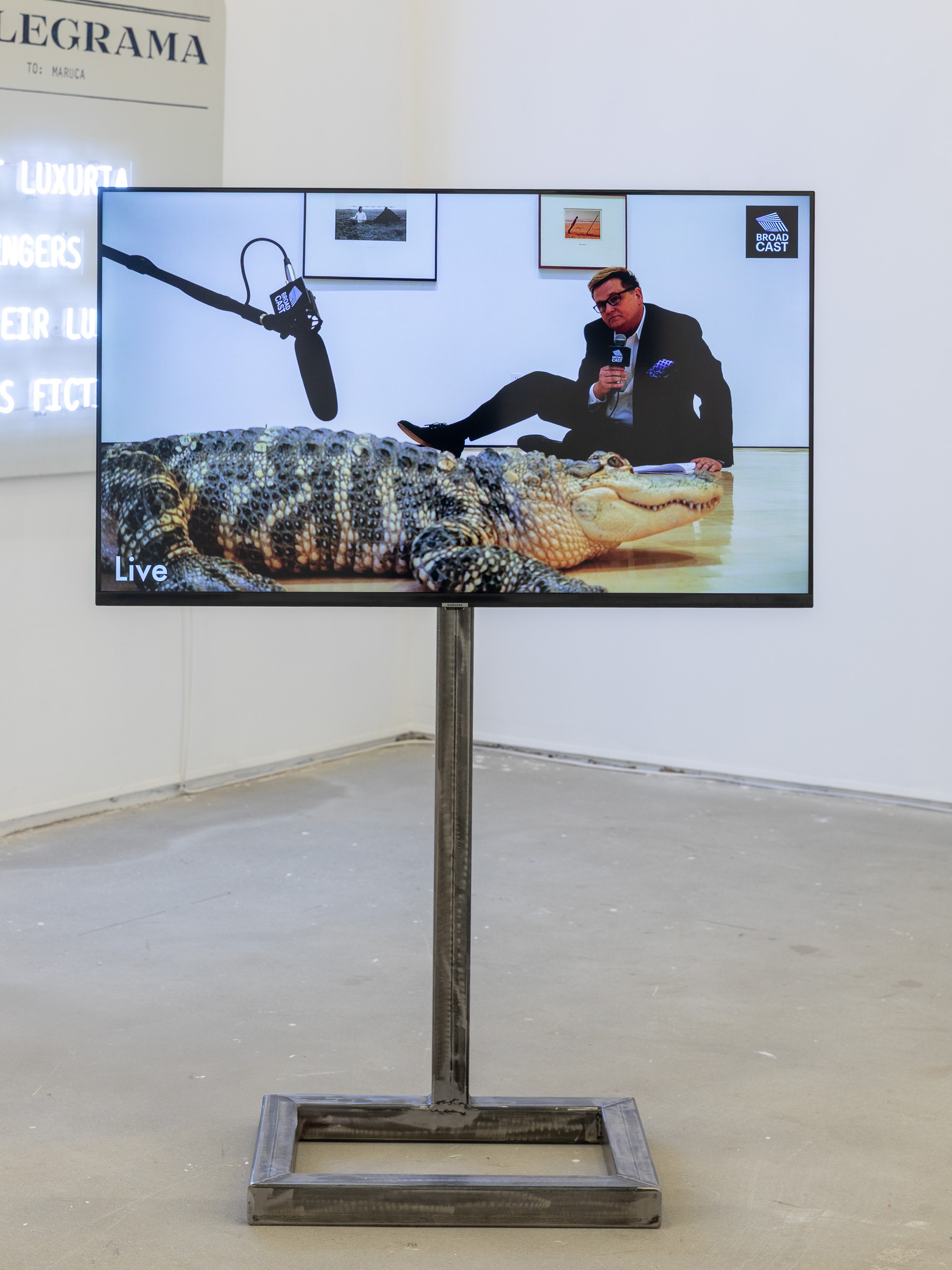 Christian Jankowski, What Could Possibly Go Wrong, 2017